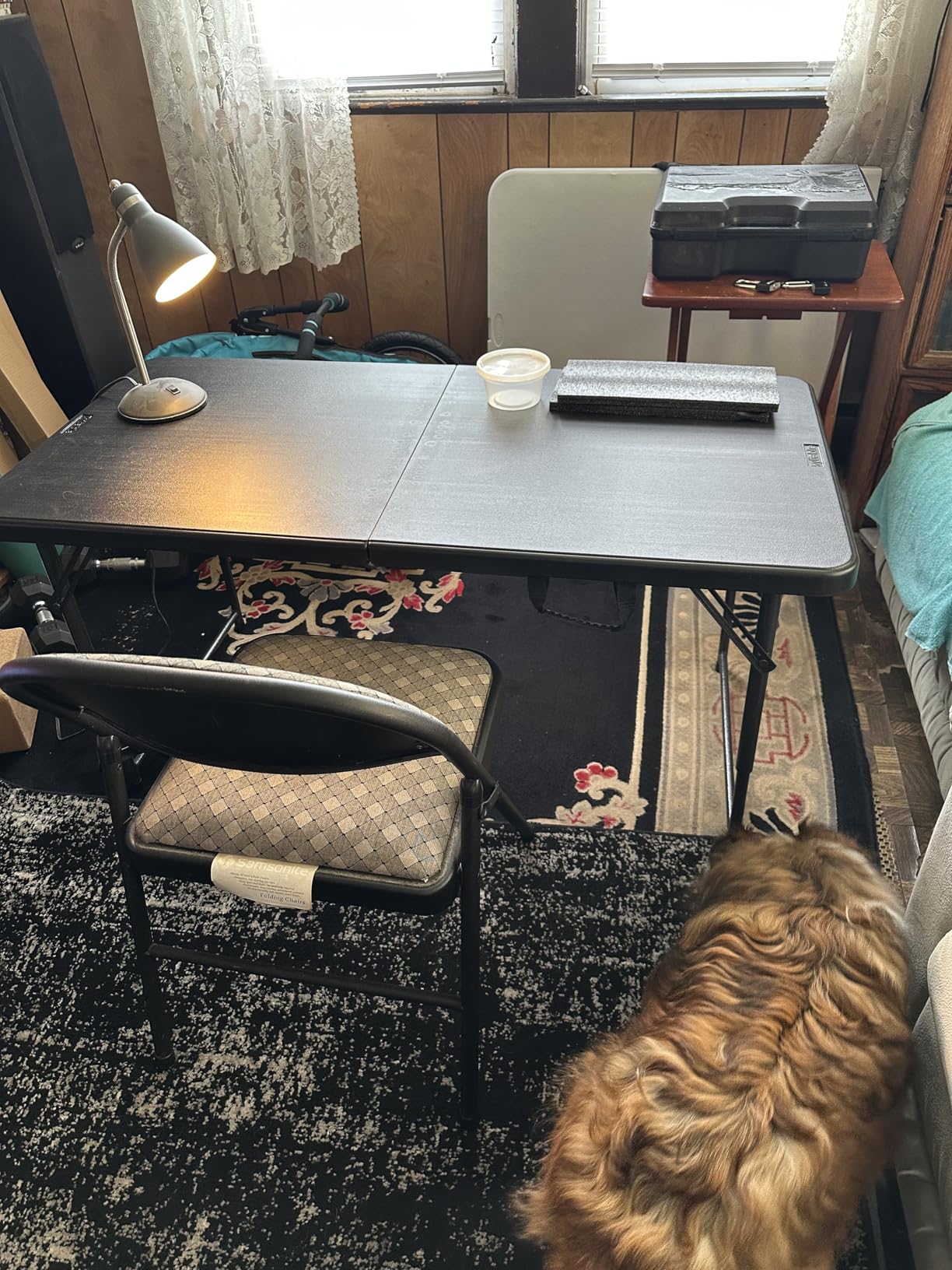 Folding Table 4 Foot, Portable Heavy Duty Plastic Utility Table, White - Adjustable Height, HDPE Tabletop, Small Fold-in-Half Design customer photo 2