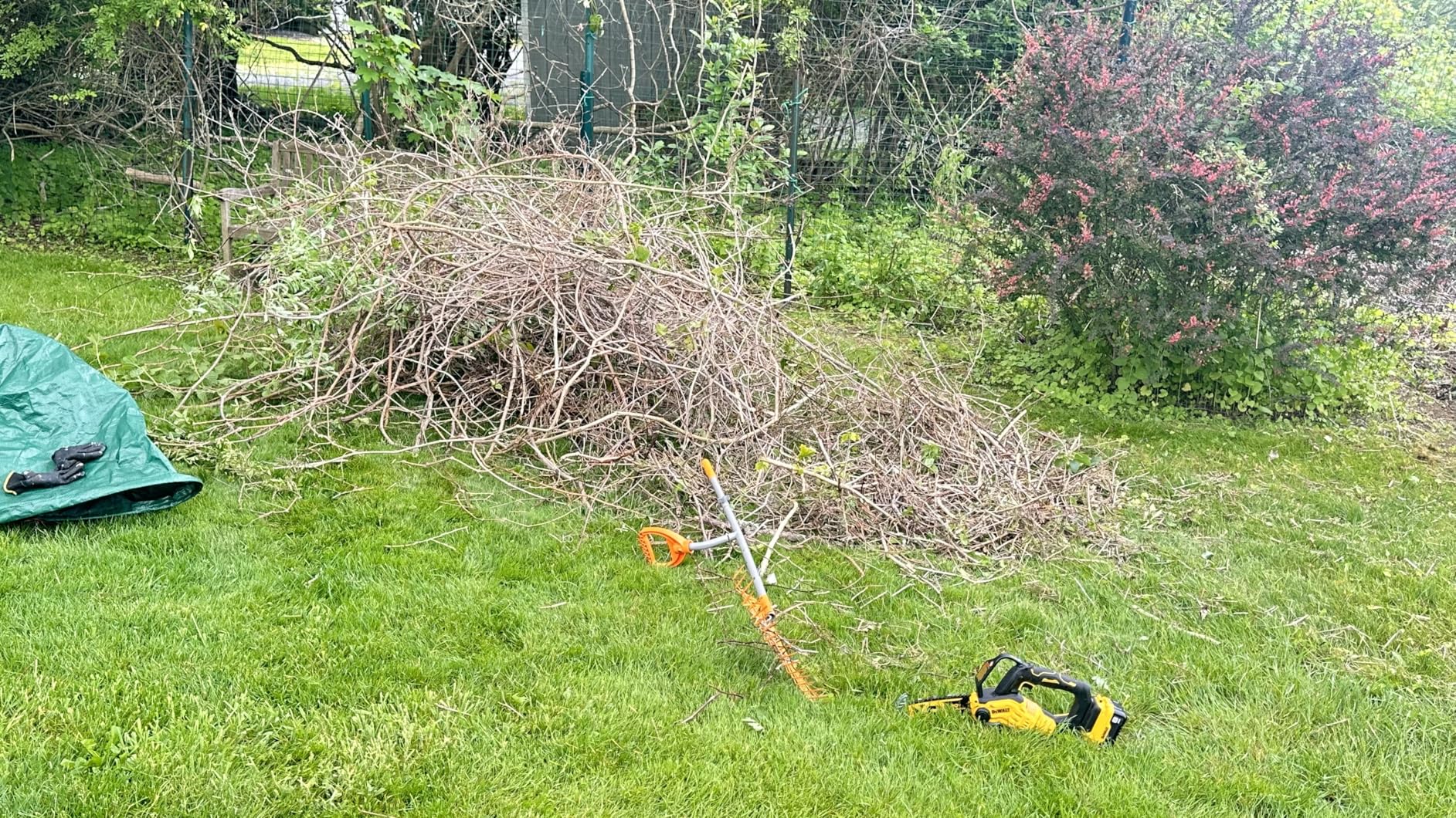 DeWalt DCCS623L1 20V MAX 8