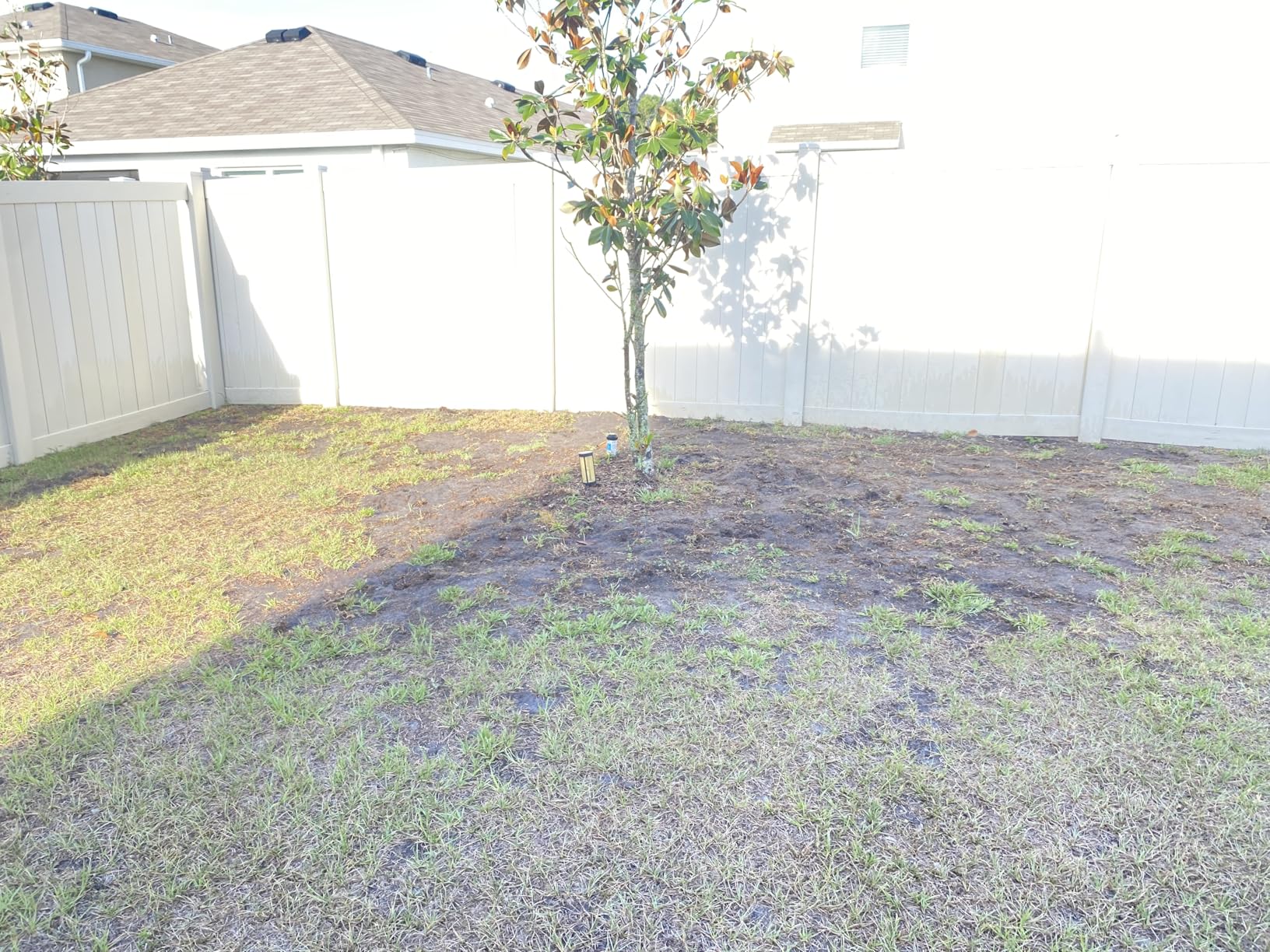 Walensee Rotary Cultivator Garden Tool, Adjustable Long Handle Hand Tiller with Star-Shaped Rolling Tines, 2-in-1 Weeder & Soil Aerator for Lawn Care, Reseeding Grass, Soil Mixing, Manual Yard Tiller customer photo 1