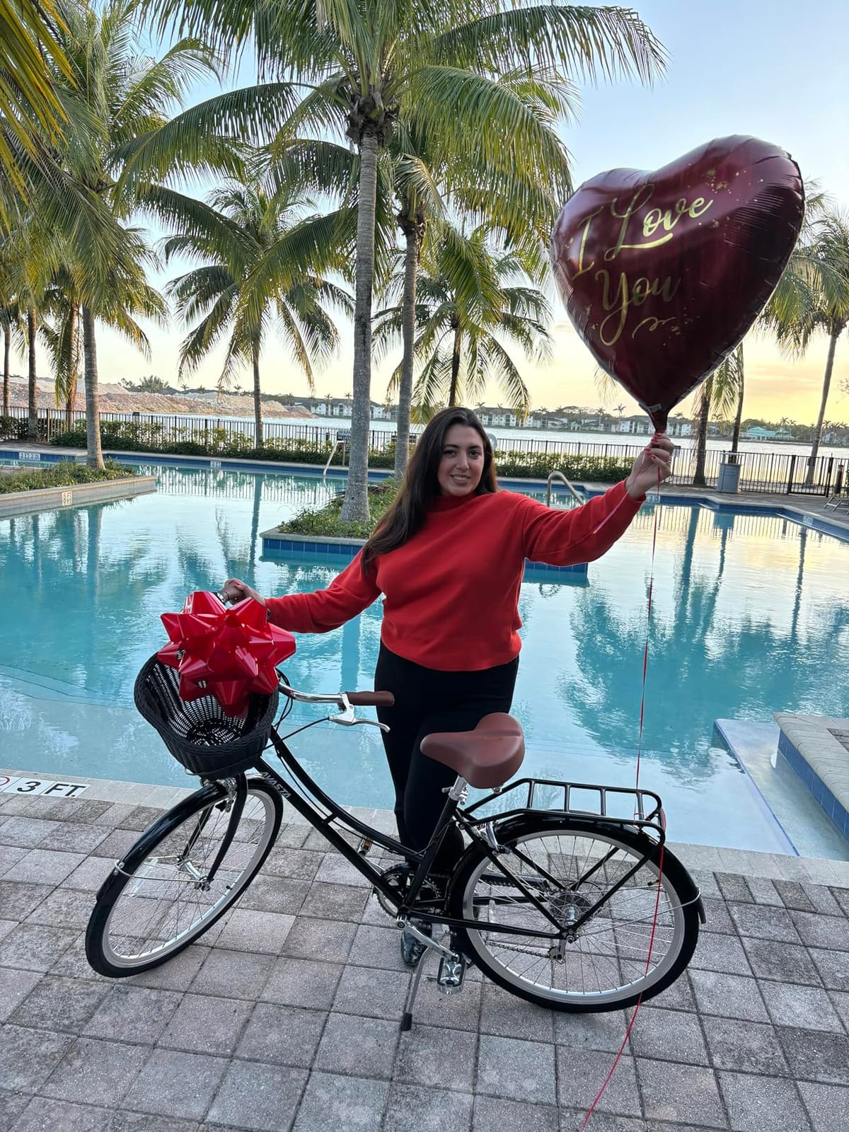 Vela 26 Inch Women Female Hybrid Bike | Dual V-Brake, Alternative Light or Basket, Wide Saddle, Step-through Frame with Smooth 6-speed for Comfortable Commuting customer photo 1