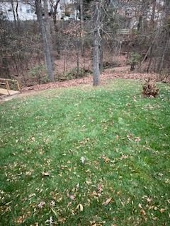 Greenworks 80V (770 CFM / 190 MPH) Brushless Cordless Leaf Blower (Turbo Button, Cruise Control, 28 CC Gas Equivalent), 4.0Ah Battery + Rapid Charger customer photo 1