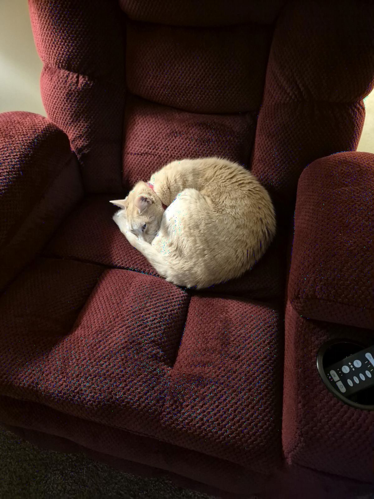 MCombo 3 Motor Power Lift Recliner, Heat and Massage customer photo 1