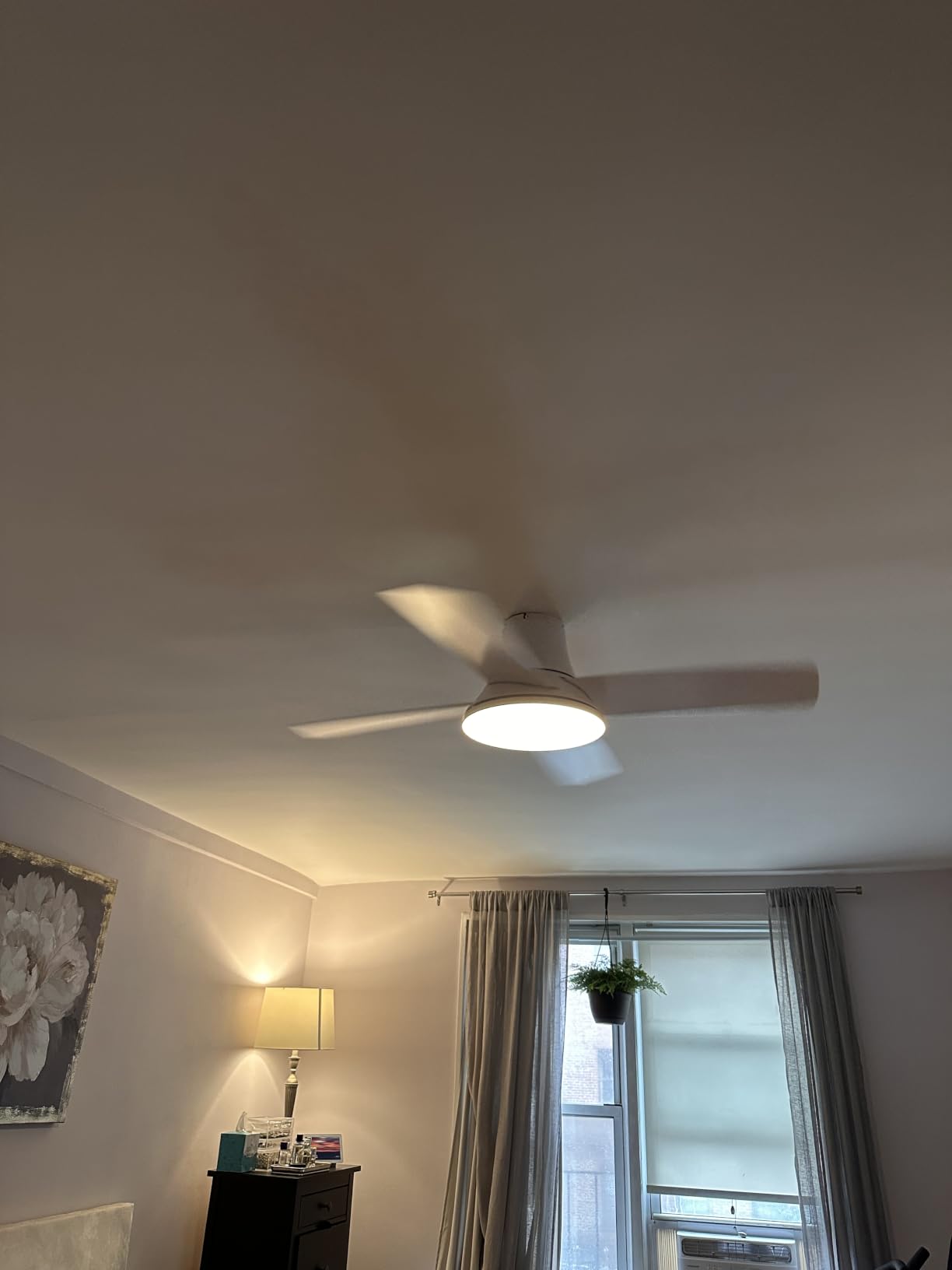 DREO Ceiling Fan, 44 Inch Low Profile Ceiling Fan with Light and Remote, 5CCT LED, 6-Level Dimmable, 6-Speed, Reversible Motor, 22 dB, Timer, Easy-Install, Black Flush Mount for Bedroom customer photo 1