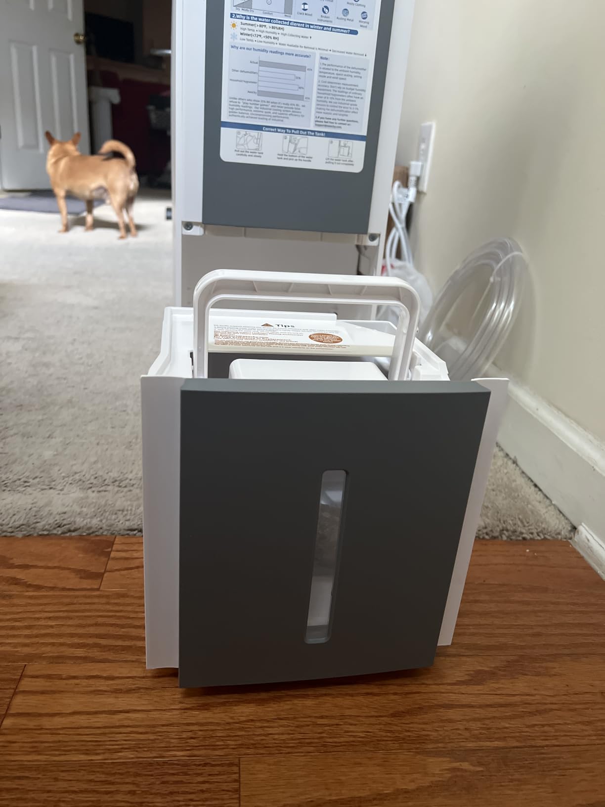 AEOCKY 4500 Sq.Ft Energy Star Most Efficient 2025 Dehumidifier, Max 80 Pint/Day Smart Compressor Dehumidifier with Drain Hose, Intelligent Humidistat,for Basement,Bedroom,Home,Bathroom customer photo 2
