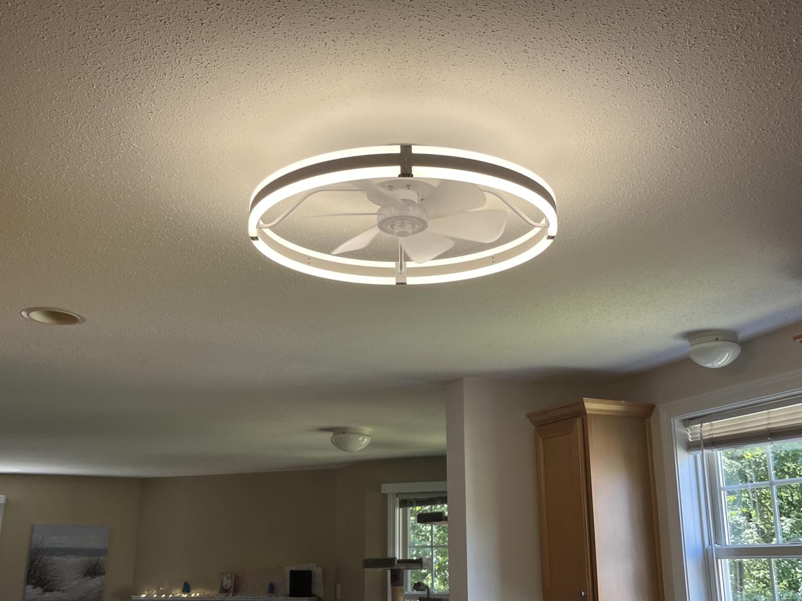 ZMISHIBO Low Profile 19.7'' Ceiling Fans with Lights and Remote, Black | 3000-6000K Dimmable LED Fandelier, Quiet DC Motor, Reversible Airflow, 6 Wind Speeds, Timer, Bedroom, Living Room, Kitchen customer photo 1
