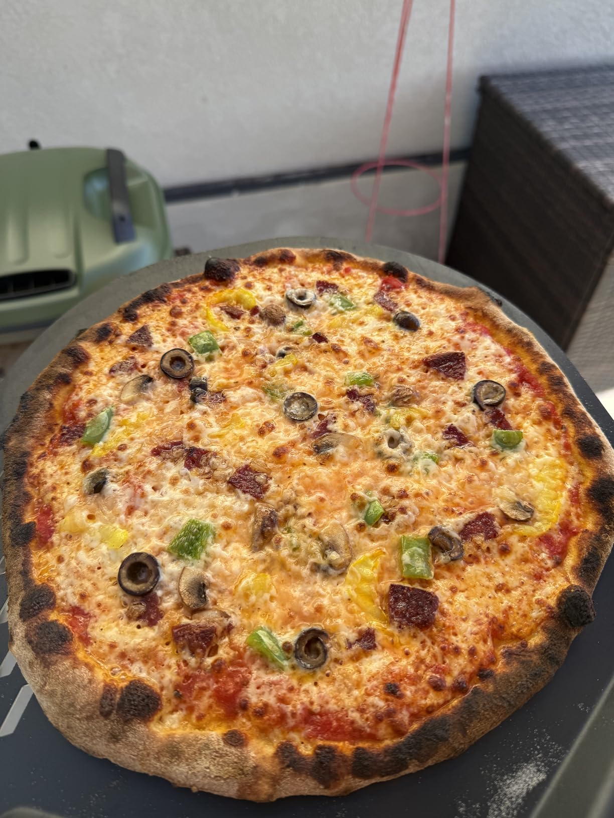 Gozney Tread Pizza Oven, Portable Propane Outdoor Oven, Heats up to 950F customer photo 2