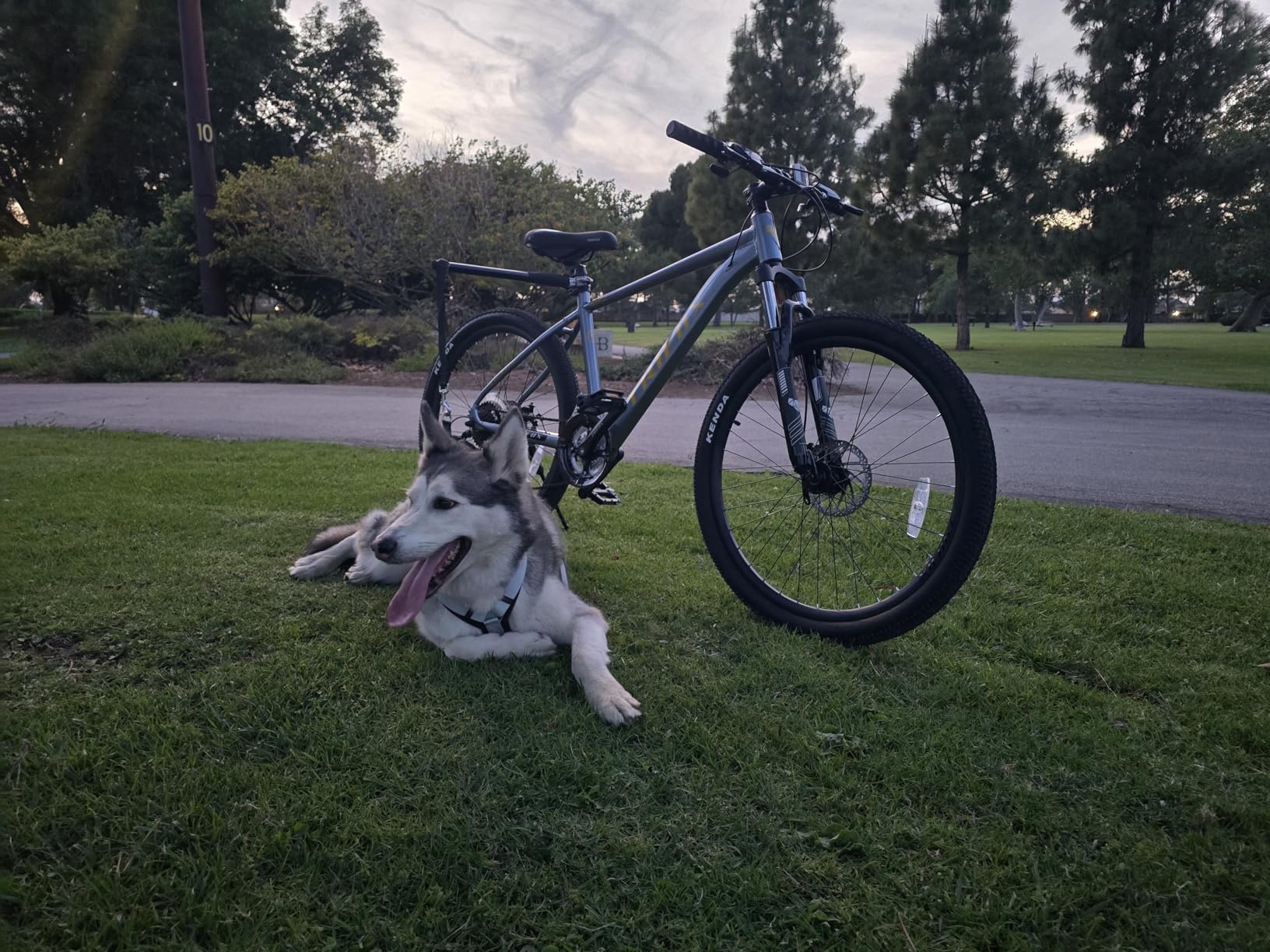 26 Inch Aluminum Mountain Bike with Shimano 21-Speed, Aircraft-Grade Aluminum Frame, Dual Disc Brakes, Hardtail MTB for Men Women Boys Girls customer photo 2