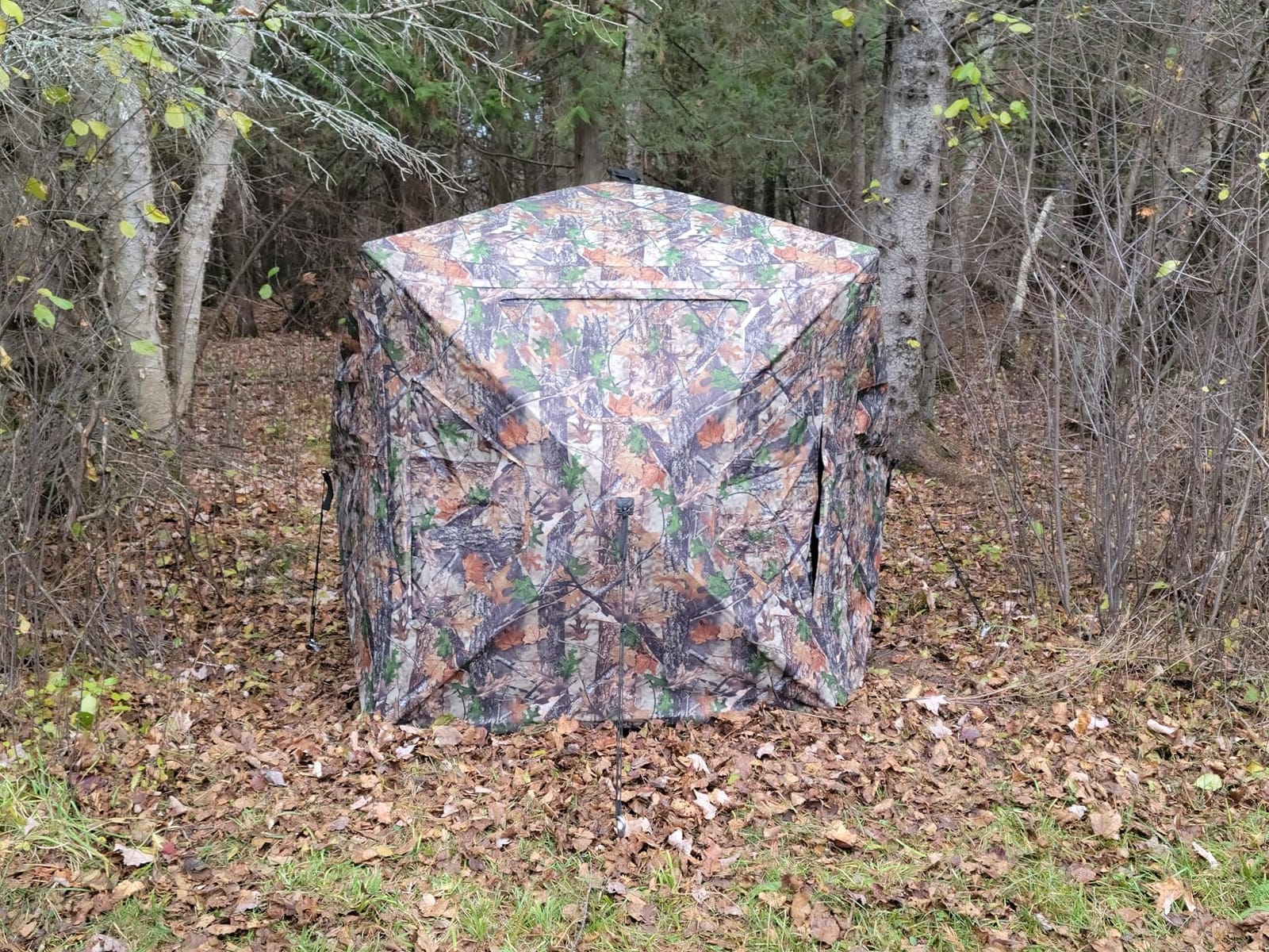 TIDEWE Hunting Blind 270°Full See Through with Windproof Curtain, Silent Magnetic Door & Sliding Windows, Pop Up Ground Blind with Carrying Bag, 300D Portable Tent customer photo 2