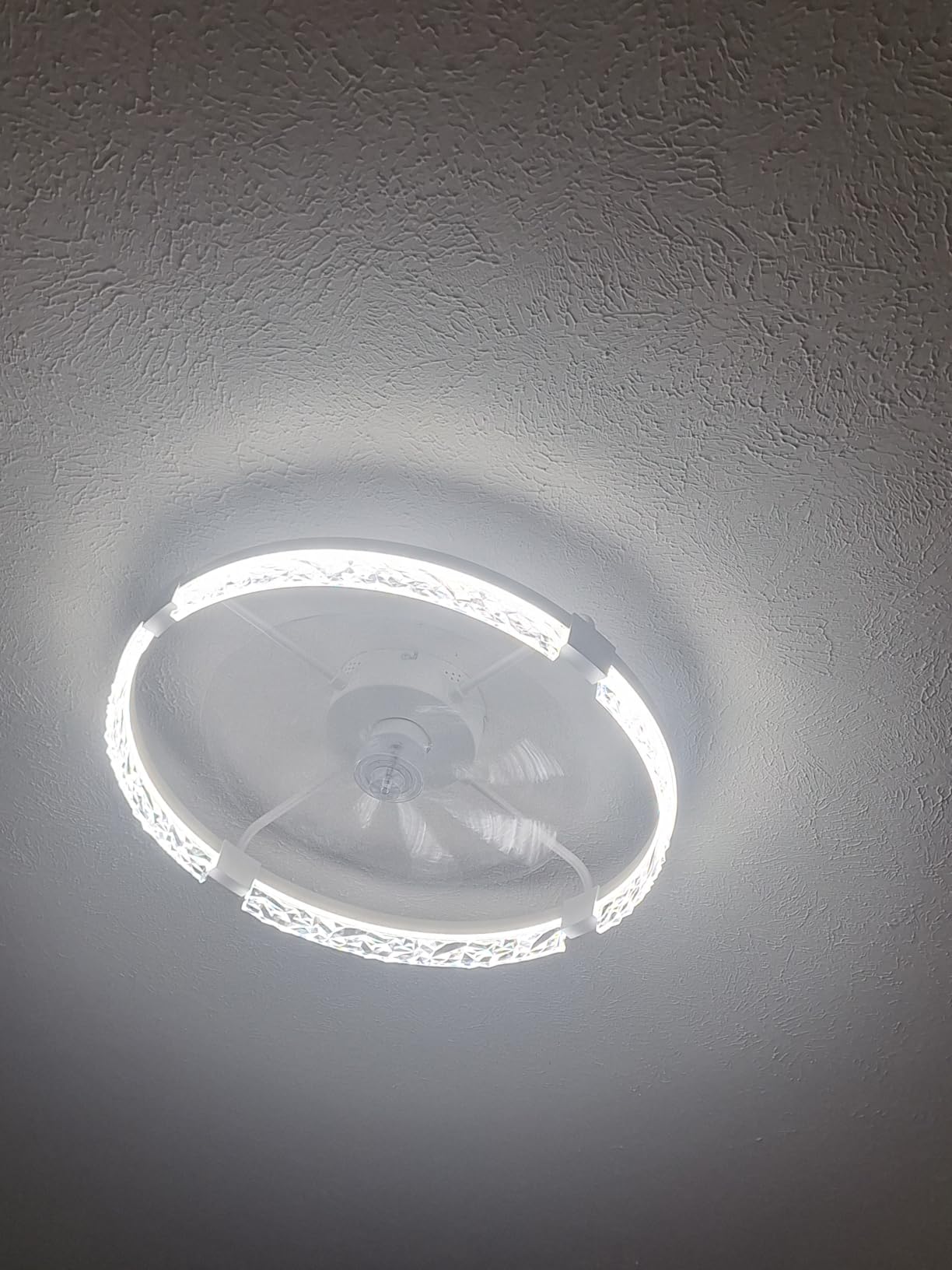 ZMISHIBO 24 Inch Ceiling Fans with Lights, Flush Mount Remote & App Control | 3CCT Dimmable LED, DC Motor, Bladeless, Reversible Blade, 6 Speeds, Modern, Low Profile, Enclosed, Bedroom, Kids, Girl, Adult customer photo 1
