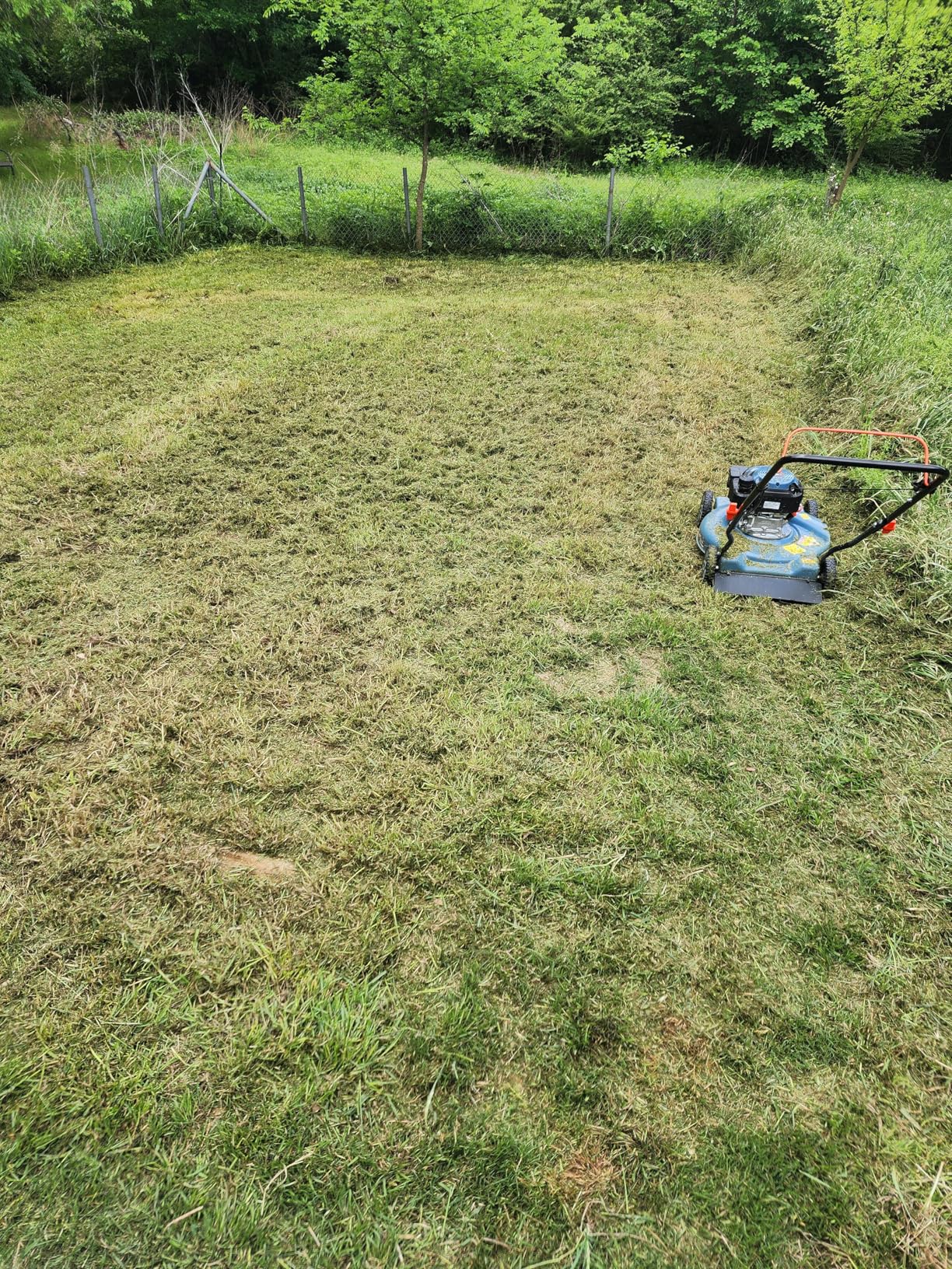 SENIX 22'' Self Propelled Gas Lawn Mower, 170cc Gas Lawnmower, Easy Start | 4-Cycle Engine, 3-in-1 (Bagging/Mulching/Side Discharge), One-touch 6 Height Adjustment for 9/20-11/20 Acre Garden customer photo 1