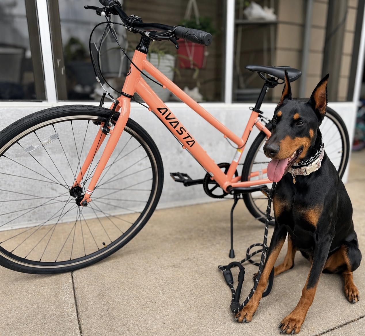 Populus 700C Road Bike for Women with Kickstand, Lightweight Step Through Aluminum Alloy Frame, 7-Speed Drivetrain, Multiple Colors customer photo 1