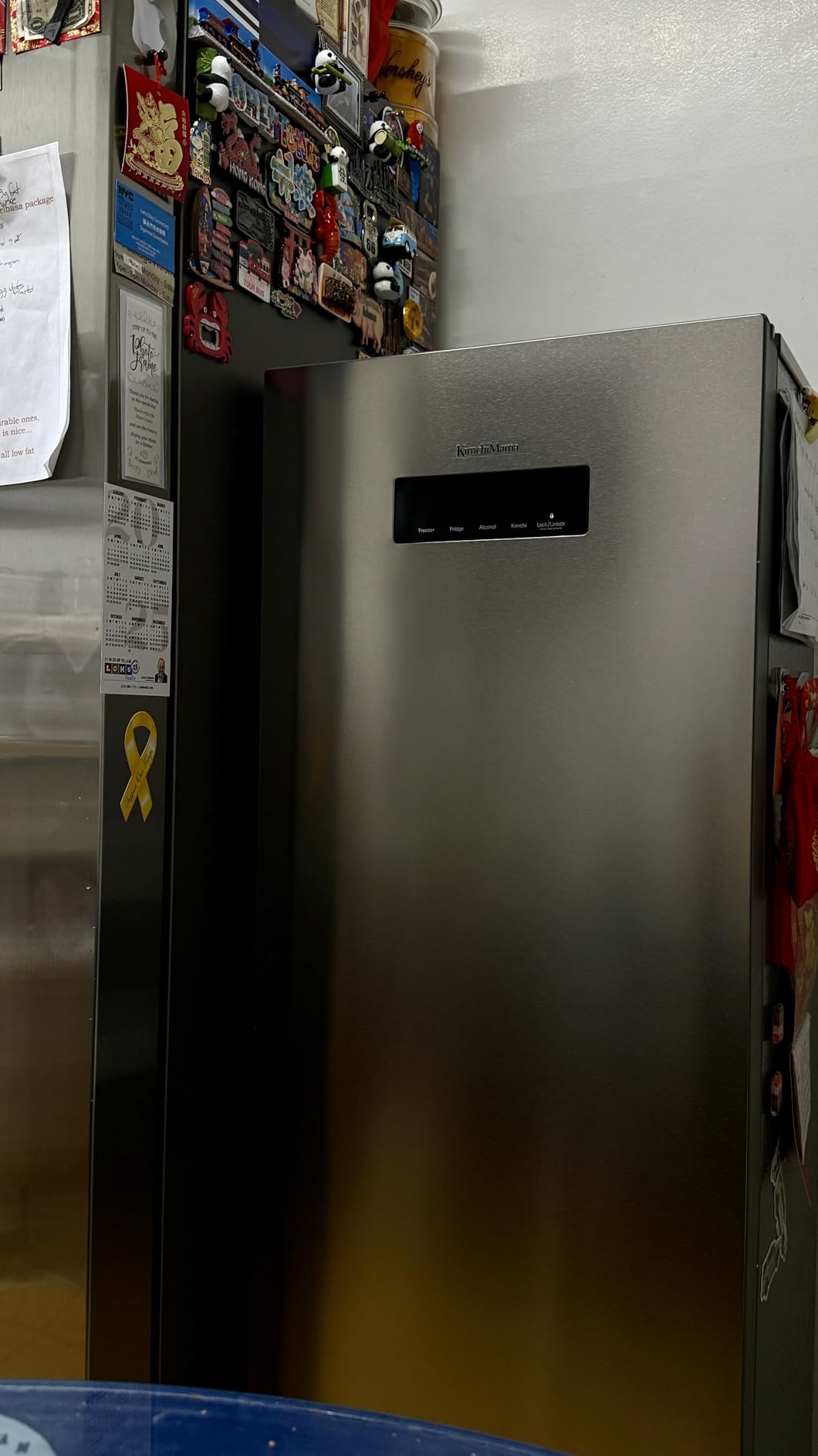 Slim Kimchi Refrigerator - Brushed Silver 4.3 cu ft | For Kimchi Storage, Fermentation, Fridge, & Freezer - Sleek & Compact, Precise Temp Control, 7 Containers, Deodorizing Filter customer photo 1