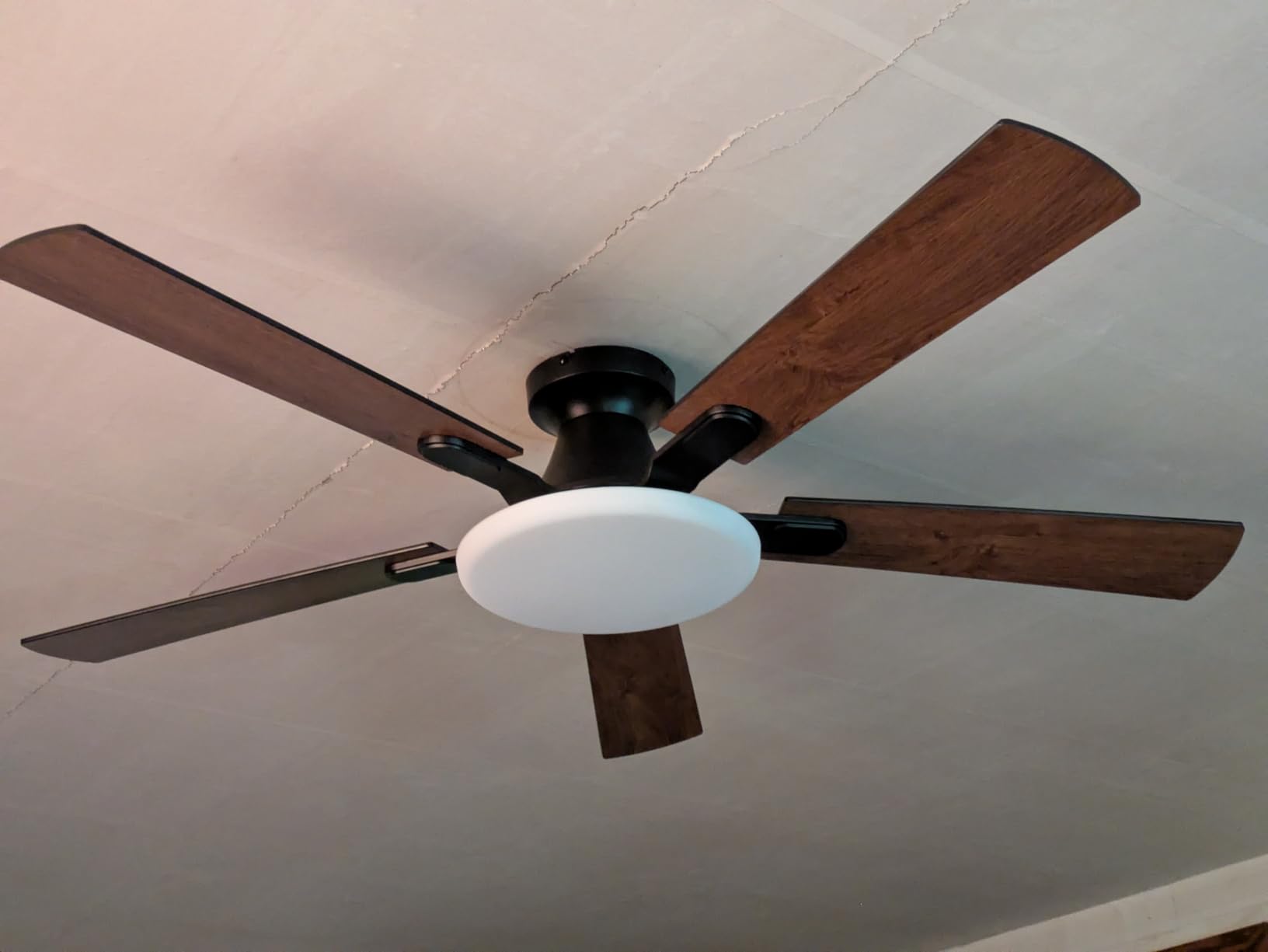 LEDIARY 52 Inch Flush Mount Ceiling Fans with Lights, Remote & APP Control | Bright Light, 3CCT, Memory Function, Timer, Reversible Blade, Quiet DC Motor, Damp-Rated, Living Room, Bedroom, Covered Patio customer photo 1
