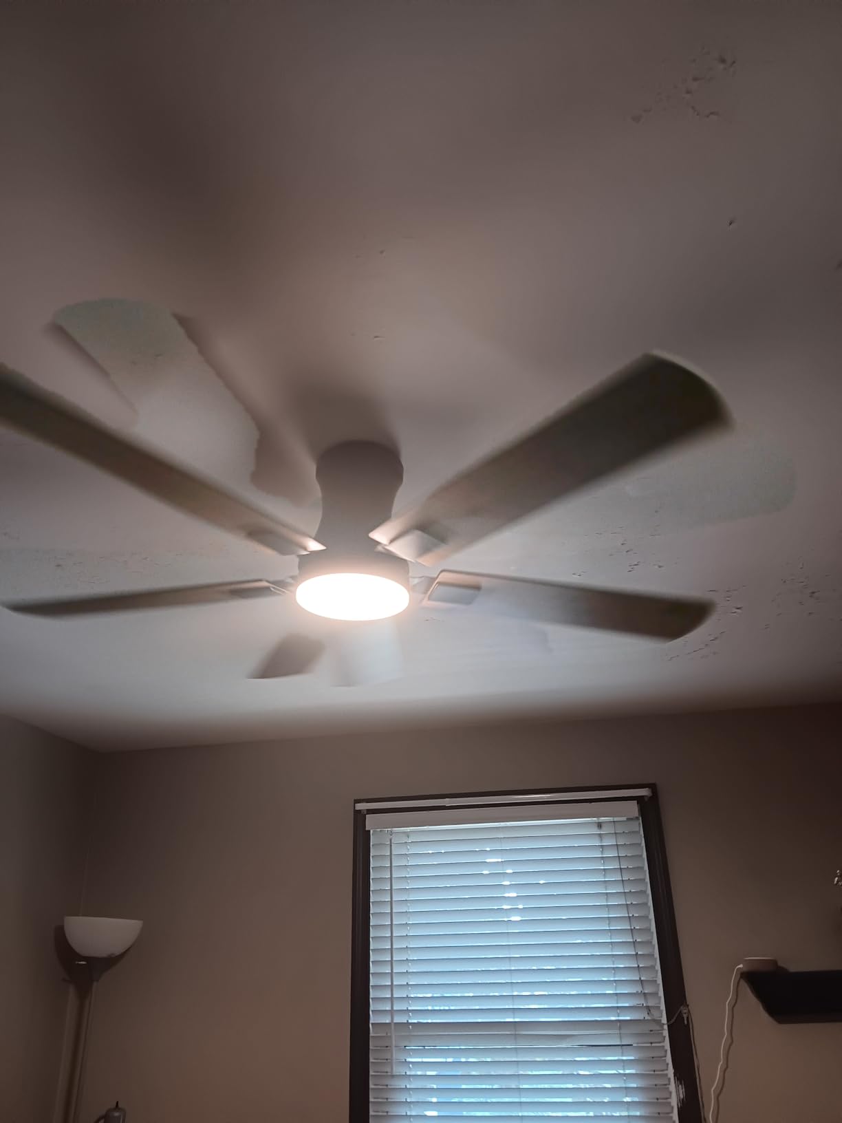 Fanbulous 52 inch Ceiling Fan with Light, Low Profile, App & Remote Control | Flush Mount, Stepless Dimming LED Light, Quiet Reversible DC Motor, Memory Function, Living Room, Bedroom, Patio, Black customer photo 2