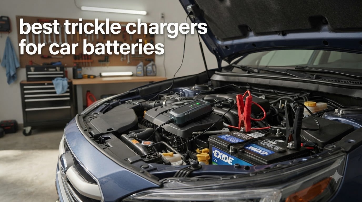 best trickle chargers for car batteries