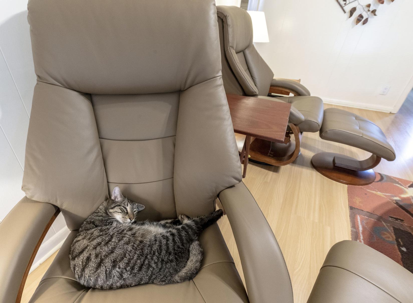 Mac Motion Chairs Collection by Mac Motion Mandal Top Grain Leather Oslo Recliner and Ottoman, Sand (tan) customer photo 2