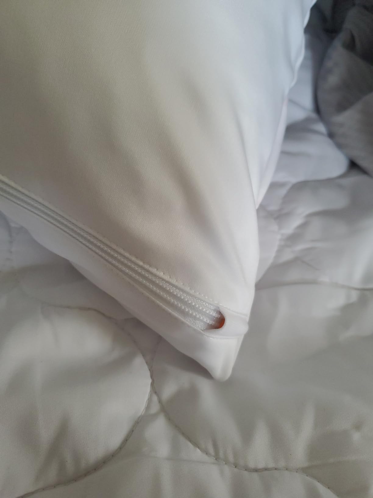 HOSPITOLOGY PRODUCTS Pillow Encasement- Zippered Bed Bug Dust Mite Proof Hypoallergenic - Sleep Defense System - Standard - Waterproof - Set of 2 - 20