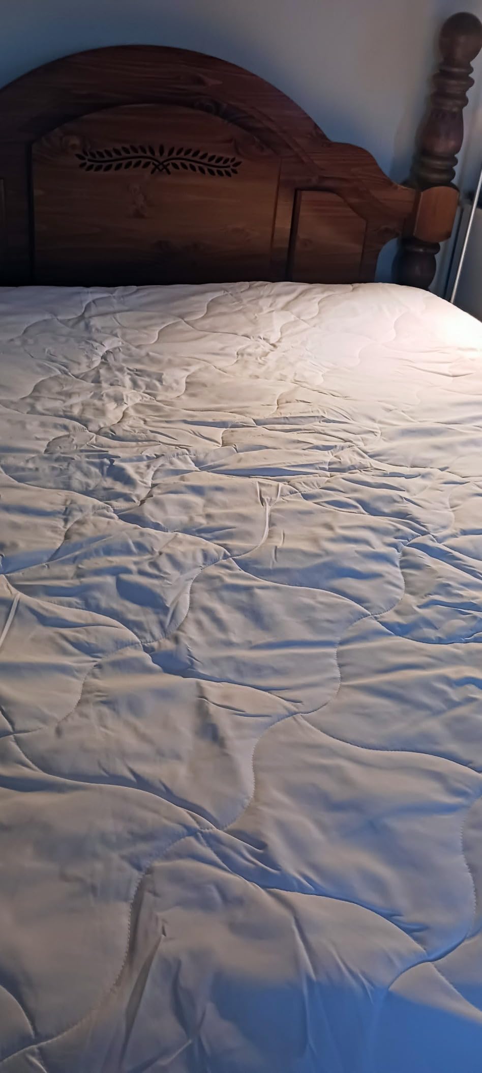 Guardmax Queen Mattress Protector Zippered, Bed Bug Mattress Cover customer photo 1