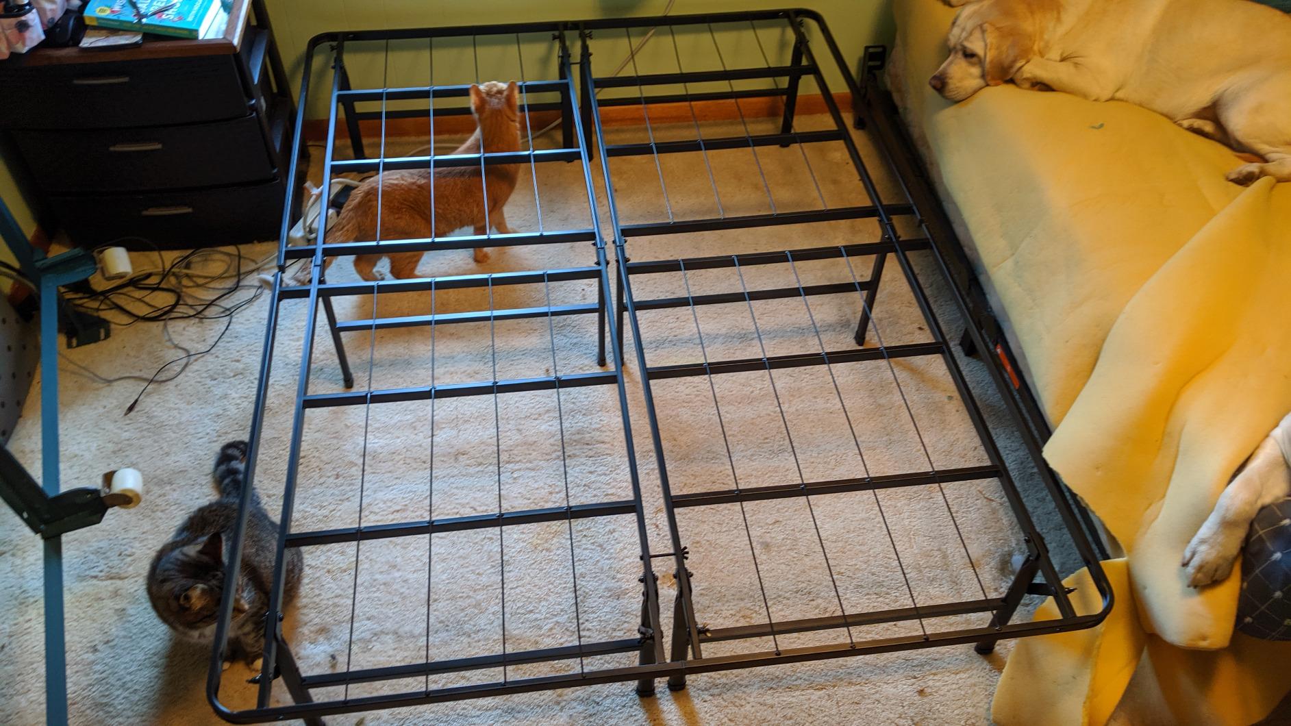 Zinus SmartBase Heavy Duty Mattress Foundation, 14 Inch Metal Platform Bed Frame, No Box Spring Needed, Sturdy Steel Frame, Underbed Storage, Queen customer photo 2