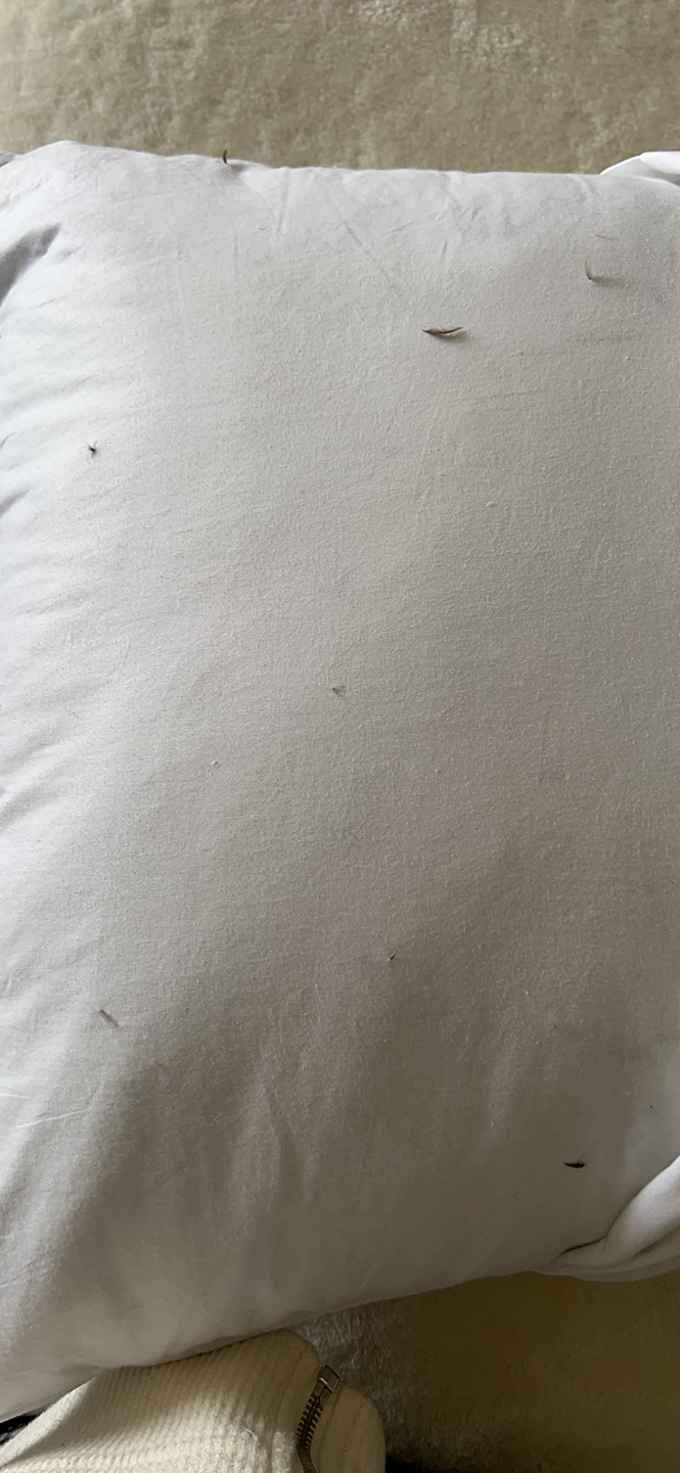 puredown® Goose Feathers and Down White Pillows with 100% Cotton Cover, Bed Sleeping Hotel Collection Pillows Set of 2, Standard Size customer photo 1