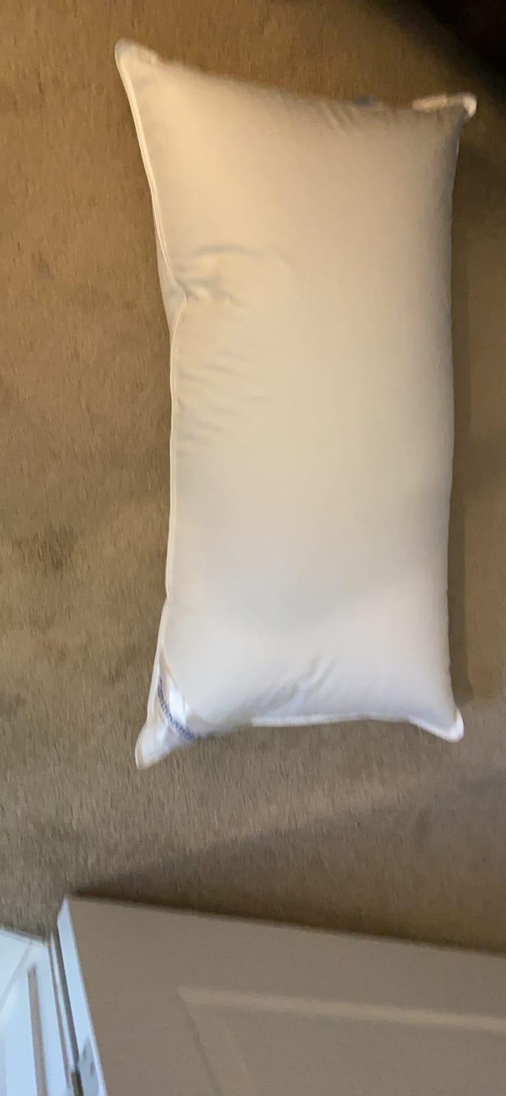 Continental Bedding Siberian Goose Down Pillow 800 Fill Power White Goose Down 400 Thread Count 100% Cotton Shell Soft Medium Firm Loft Options Handcrafted in USA customer photo 1