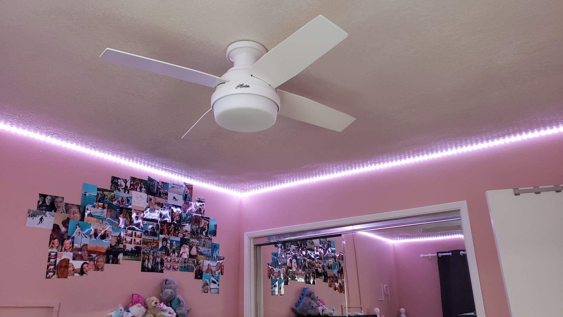 Hunter Dempsey, Indoor, Ceiling Fan, Modern, Quiet, 44 inch, Fresh White customer photo 2