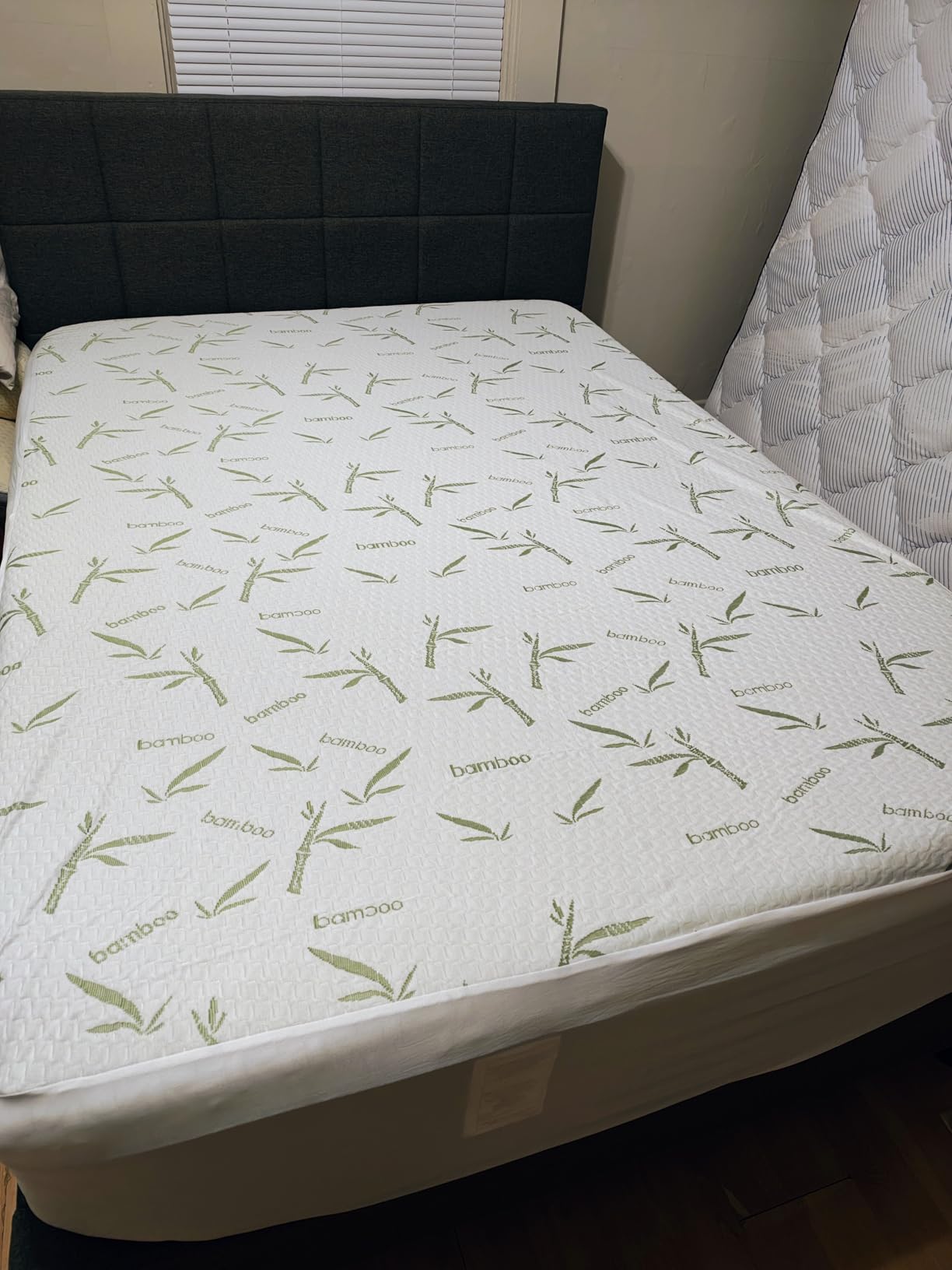 Bamboo Viscose Waterproof Mattress Protector Queen Size, 17