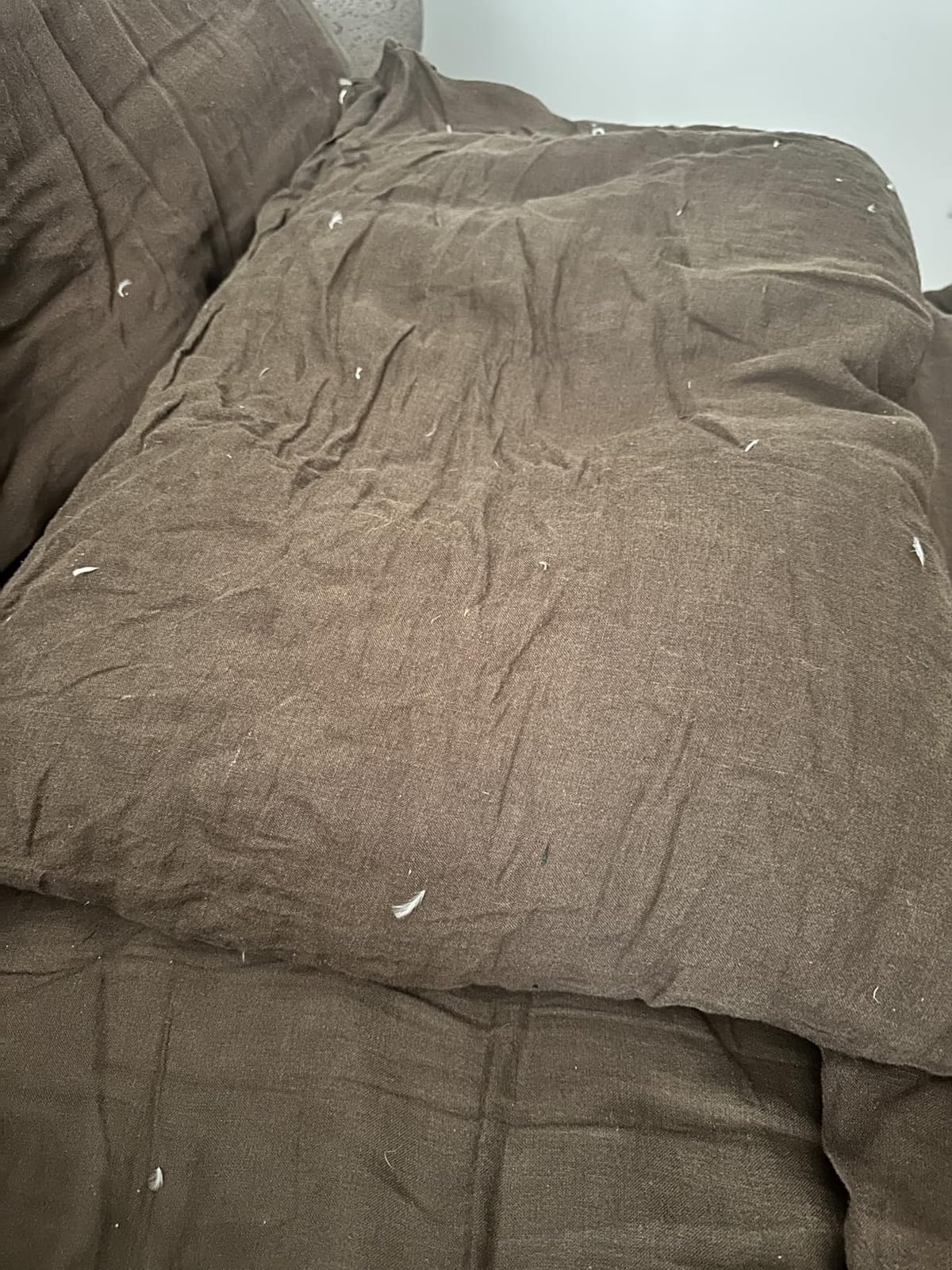 downluxe Goose Feather and Down Pillows, Bed Pillows Queen Size Set of 2 customer photo 1