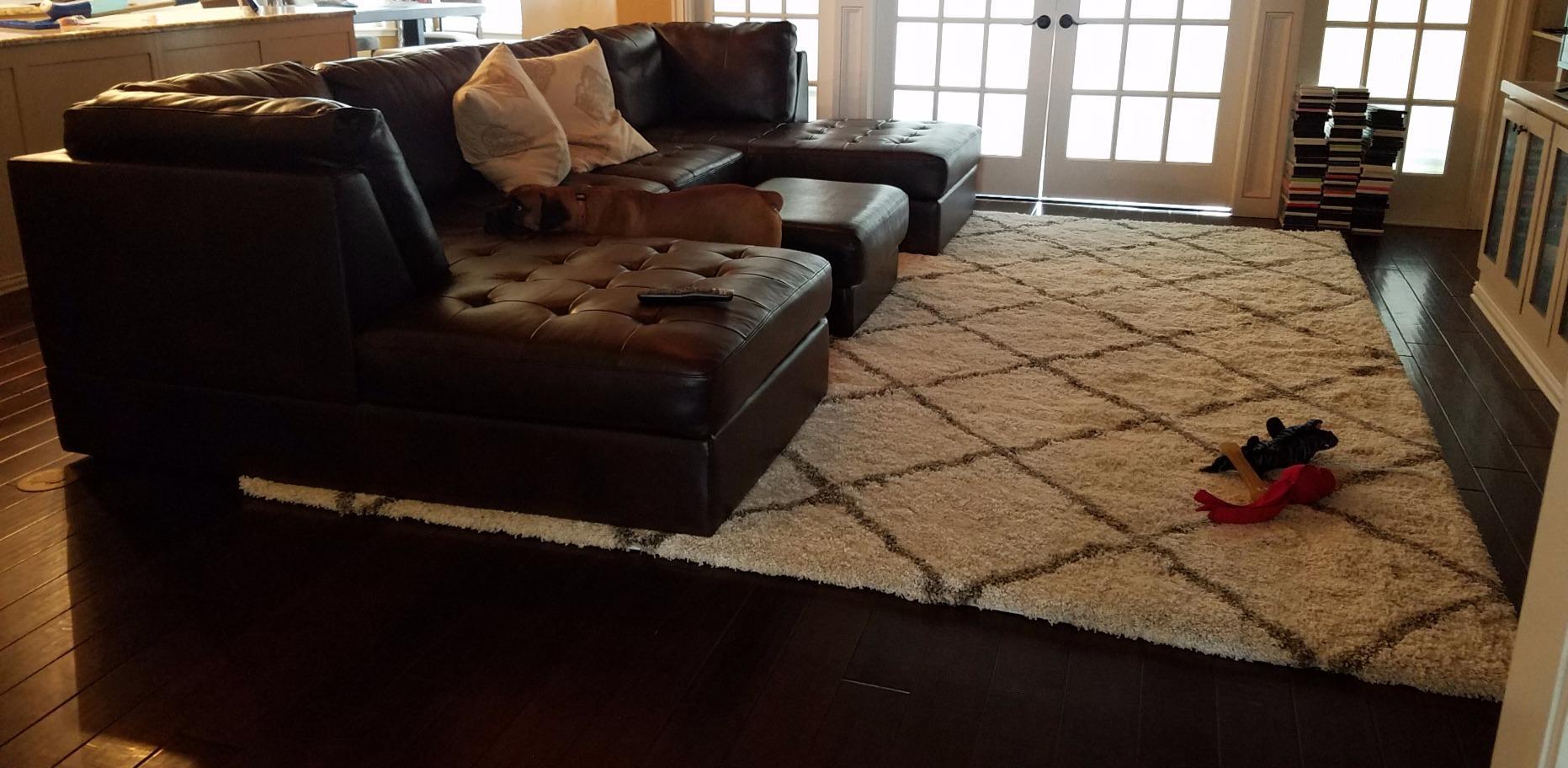 SAFAVIEH Area Rug 8x10 - Hudson Shag Collection - Large - Beige & Ivory, Trellis Pattern, Non-Shedding & Easy Cleaning, Ultra Plush Thick Pile, Ideal for Living Room, Bedroom, Dining Space (SGH281S) customer photo 2