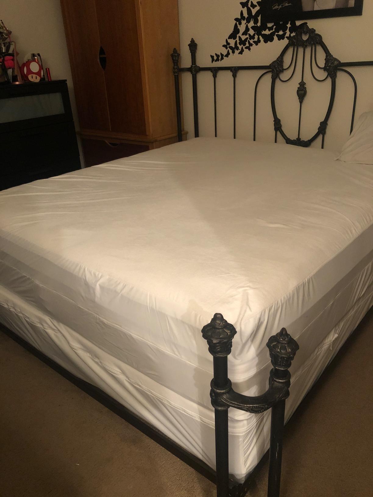 PlushDeluxe Mattress Encasement 100% Waterproof, Queen, Soft Cotton Terry customer photo 2