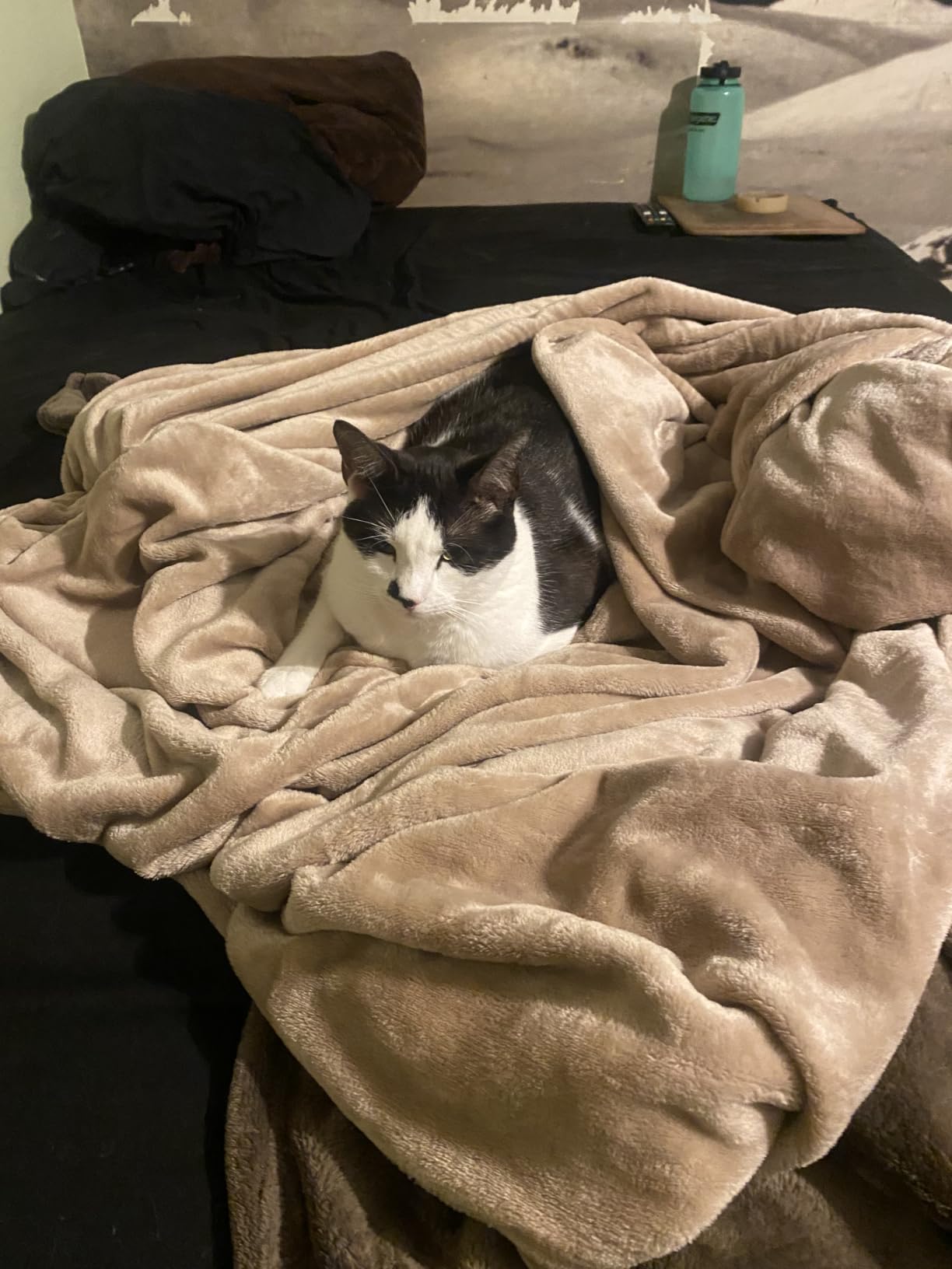 Utopia Bedding Ultra Soft Fleece Bed Blanket Queen Size Grey (90x90 Inches) customer photo 1