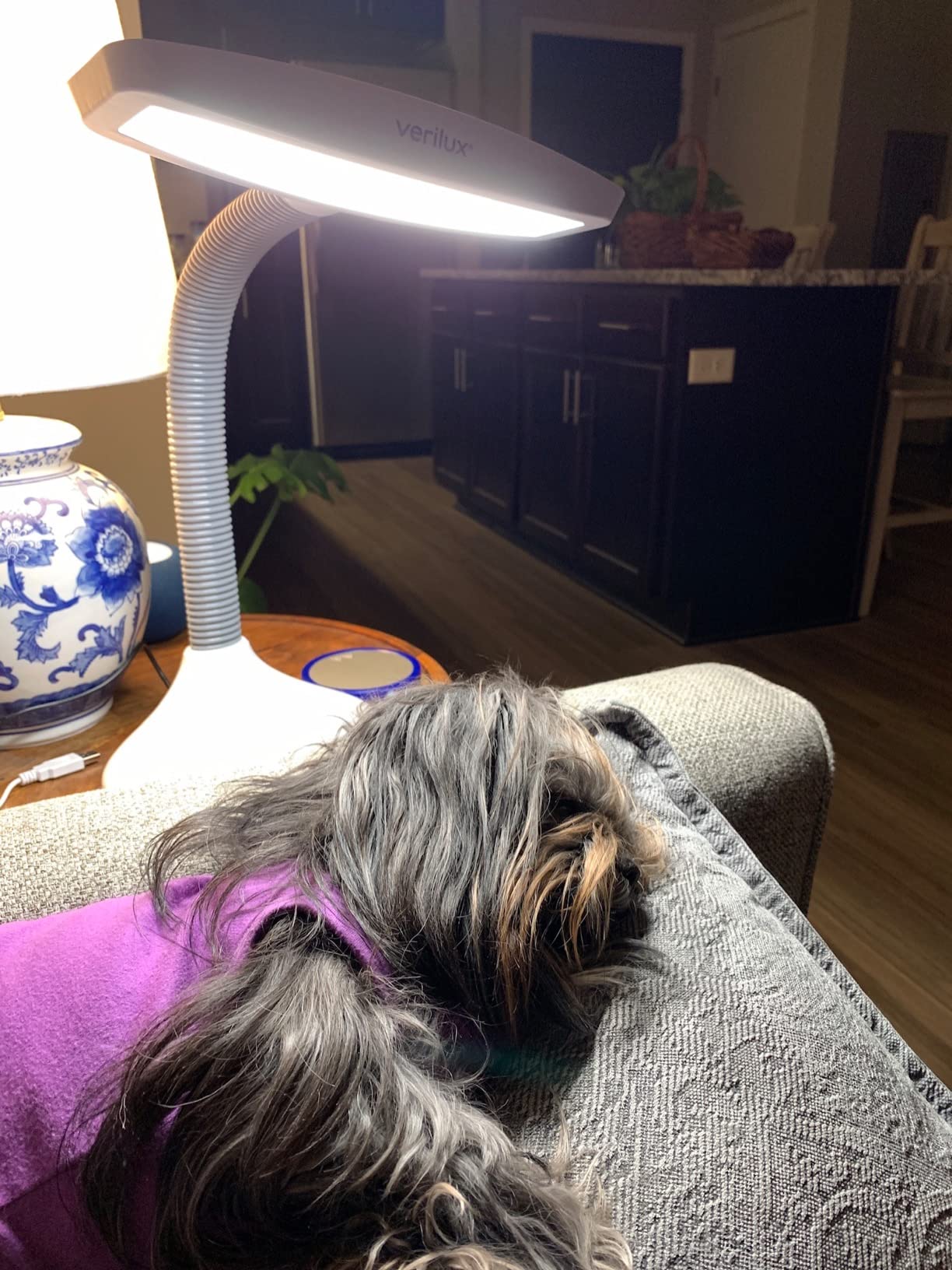 Verilux SmartLight Full Spectrum LED Desk Lamp with Adjustable Brightness, Flexible Gooseneck and Integrated USB Charging Port - Reduces Eye Strain and Fatigue - Ideal for Readers, Artists, Crafters customer photo 1