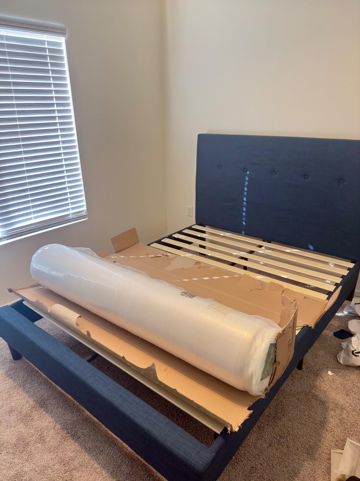 Zinus Omkaram Upholstered Platform Bed Frame, Mattress Foundation, Wood Slat Support, No Box Spring Needed, Easy Assembly, Queen customer photo 2