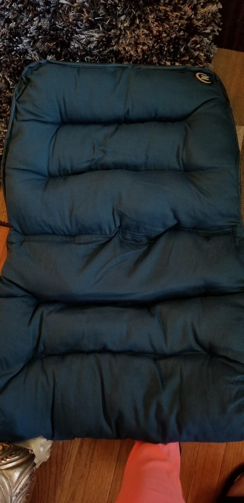 Zenree Upholstered Durable Metal Modern Chair with Soft Cushion, Blue - Ideal for Bedrooms, Living Rooms, Dorms, Indoor Spaces, Accent and Lounging customer photo 2
