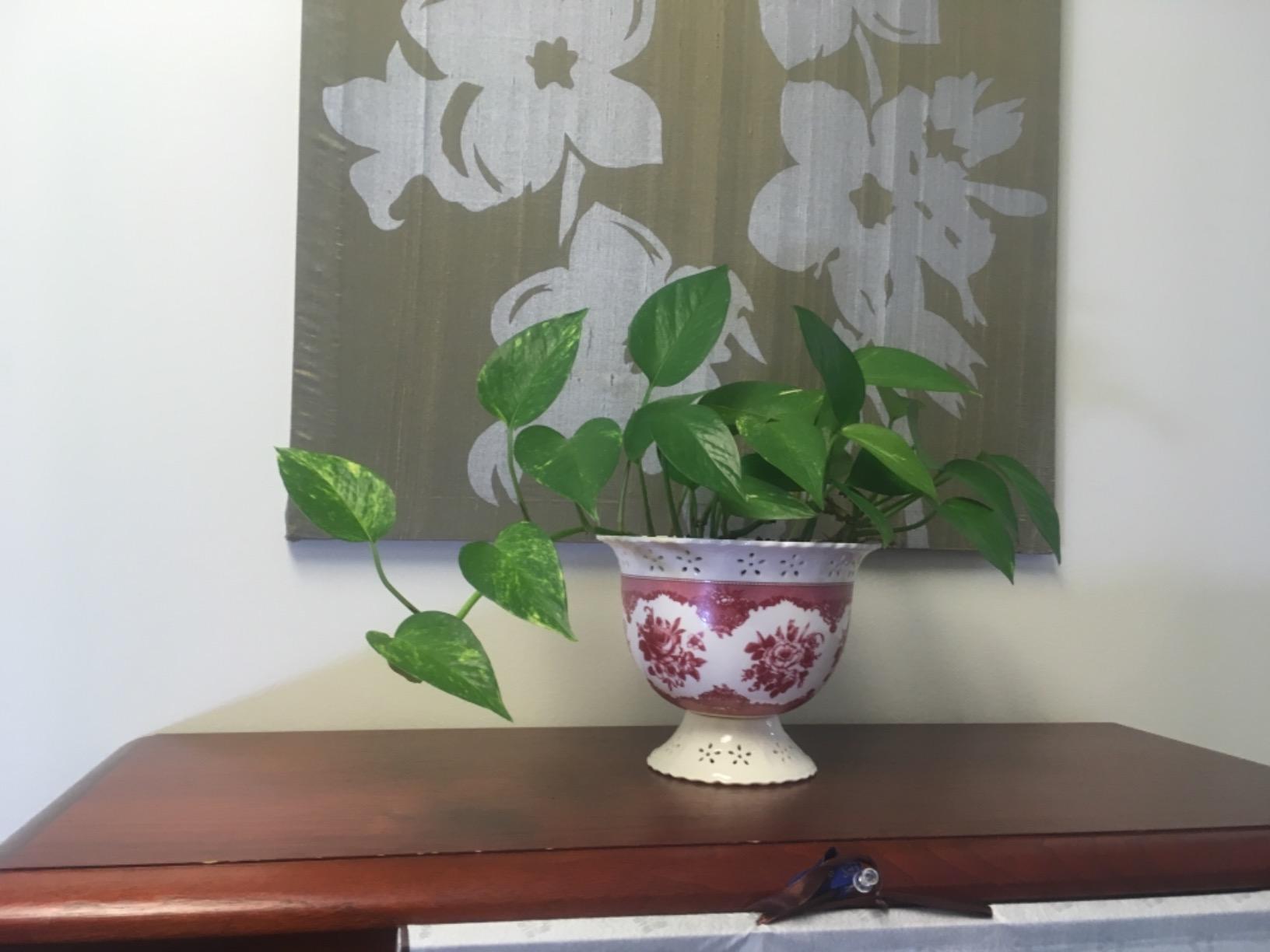 Circadian Optics Lumine 10,000 Lux Light Therapy Lamp | Seen On Shark Tank customer photo 1