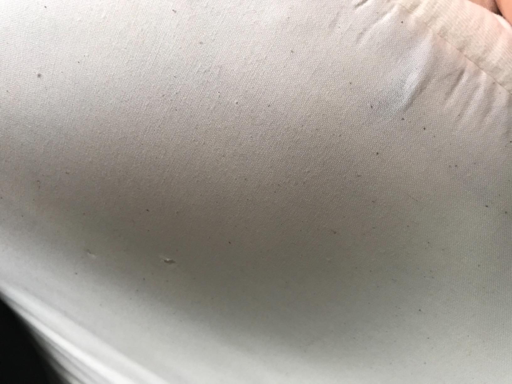Happsy Organic Hybrid Mattress - Natural Latex Mattress - Medium Firm with Encased Coil Layers for Universal Comfort and Pressure Relief - Bed-in-a-Box - Twin customer photo 2