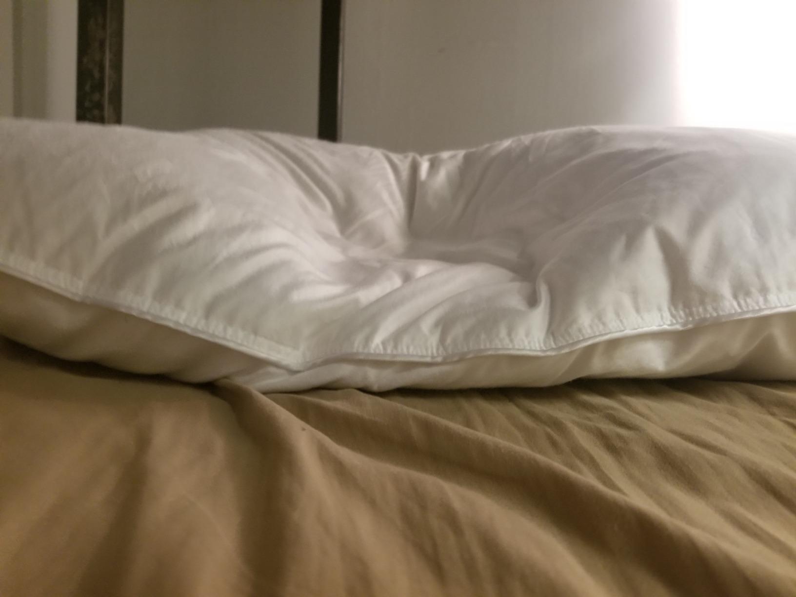 Continental Bedding Harmony White Goose Down Pillow 550 Fill Power Soft Loft 100% Cotton 300 Thread Count Shell Standard Size 1 Pack Made in USA customer photo 2
