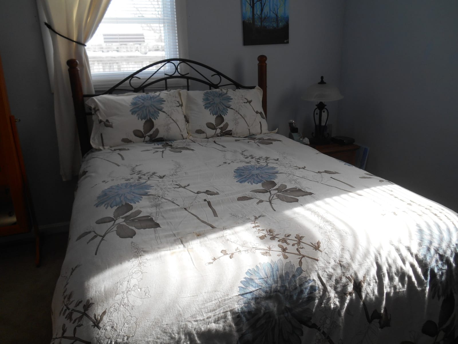 Swanson Beddings Daisy Silhouette Reversible Floral Print 3-Piece 100% Cotton Bedding Set: Duvet Cover and Two Pillow Shams (King) (Comforter NOT Included) customer photo 1