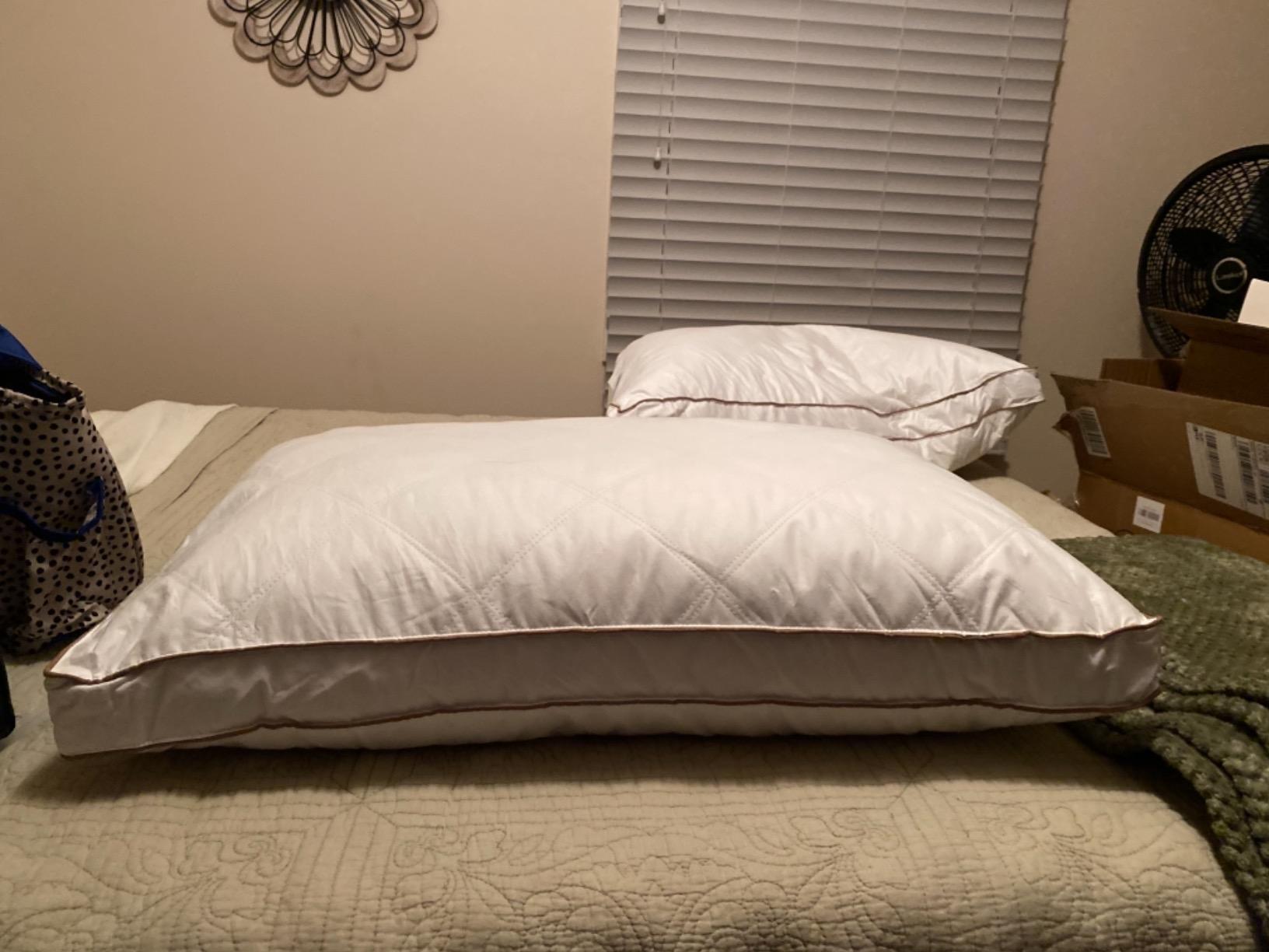 puredown® Goose Feathers and Down Pillow for Sleeping Hotel Collection Bed Pillows, 100% Cotton Cover,Gusseted, Standard/Queen, Set of 2 customer photo 1