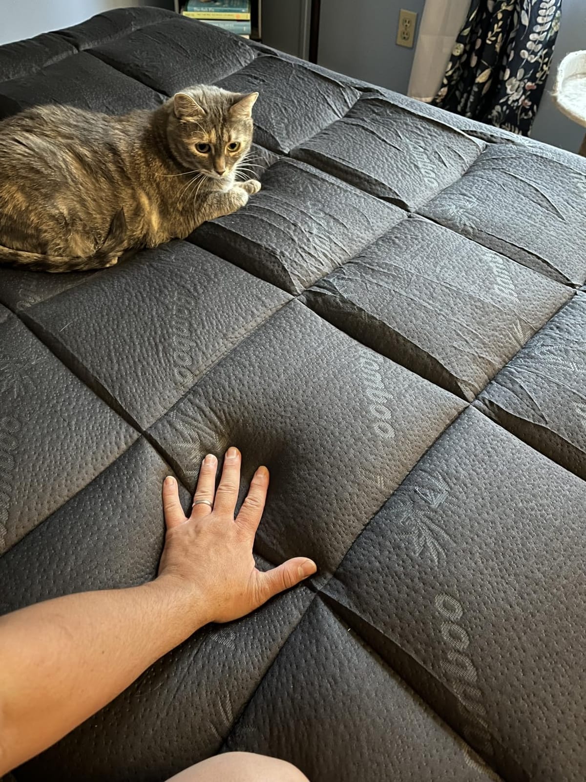 Niagara Sleep Solution Queen Ultra Soft Mattress Topper — Back Pain Relief customer photo 1