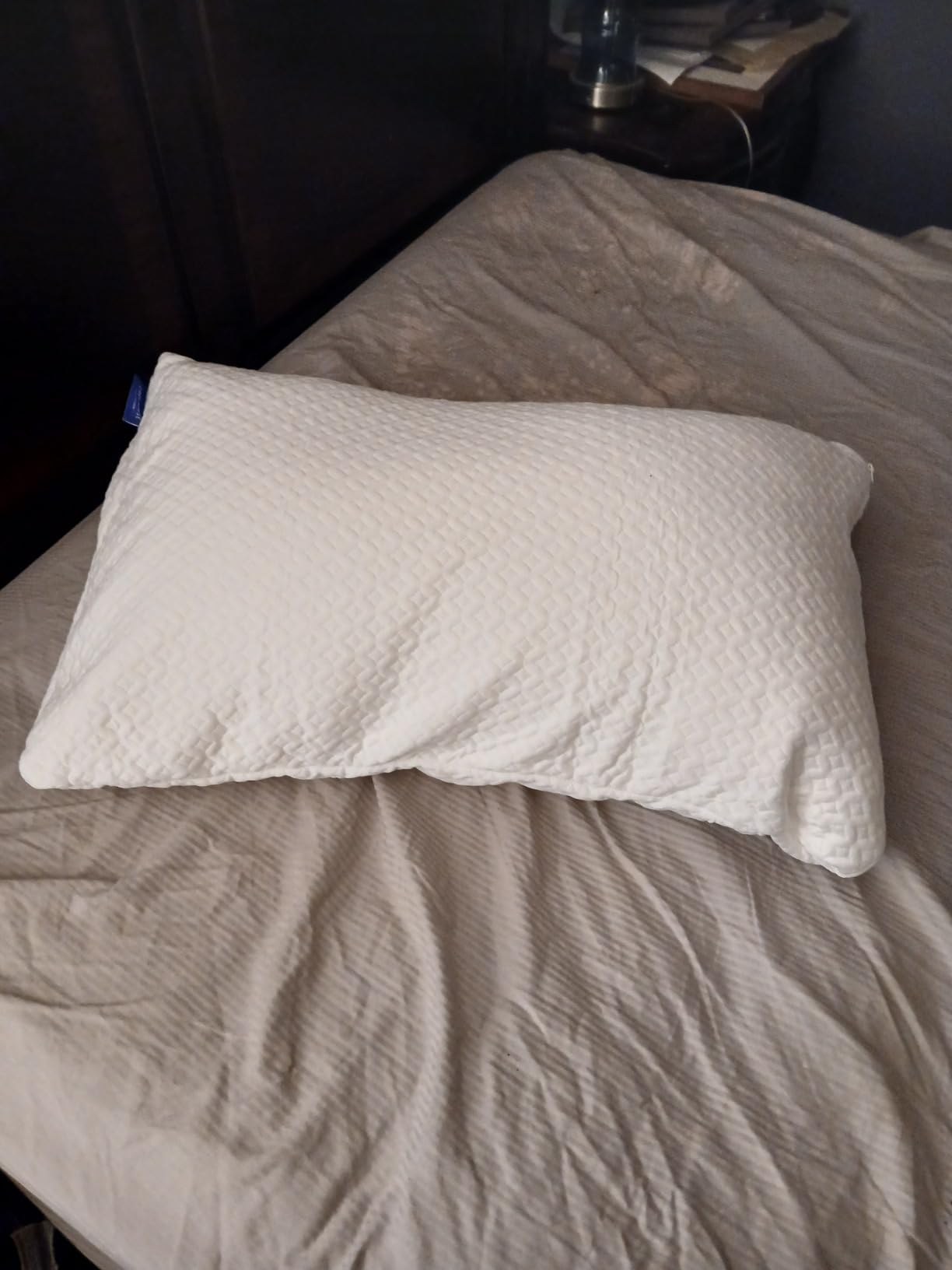 Cosy House Collection Luxury Rayon Derived from Bamboo Memory Foam Pillow customer photo 1