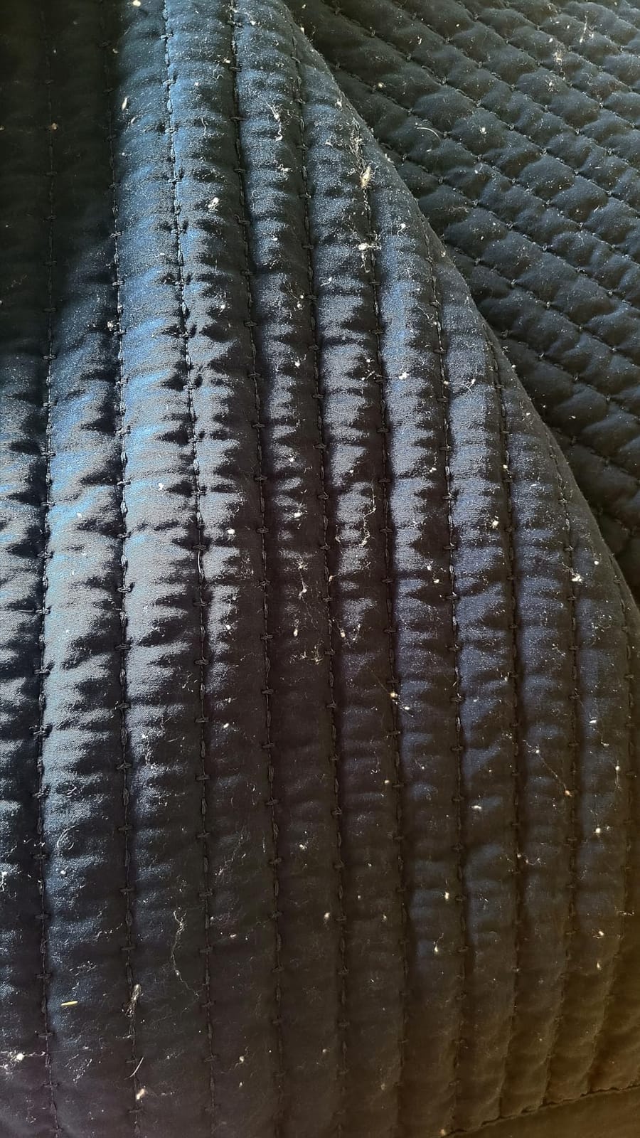 KASENTEX Oversized King Quilt Set 112x106, Soft Washed 3-Layer Lightweight customer photo 1