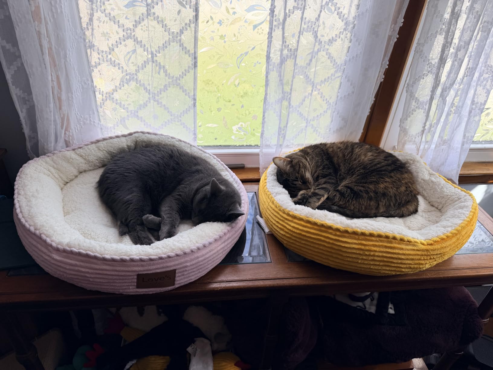 Love's cabin Round Donut Cat and Dog Cushion Bed, 20in Bed for Cats or Small Dogs customer photo 1