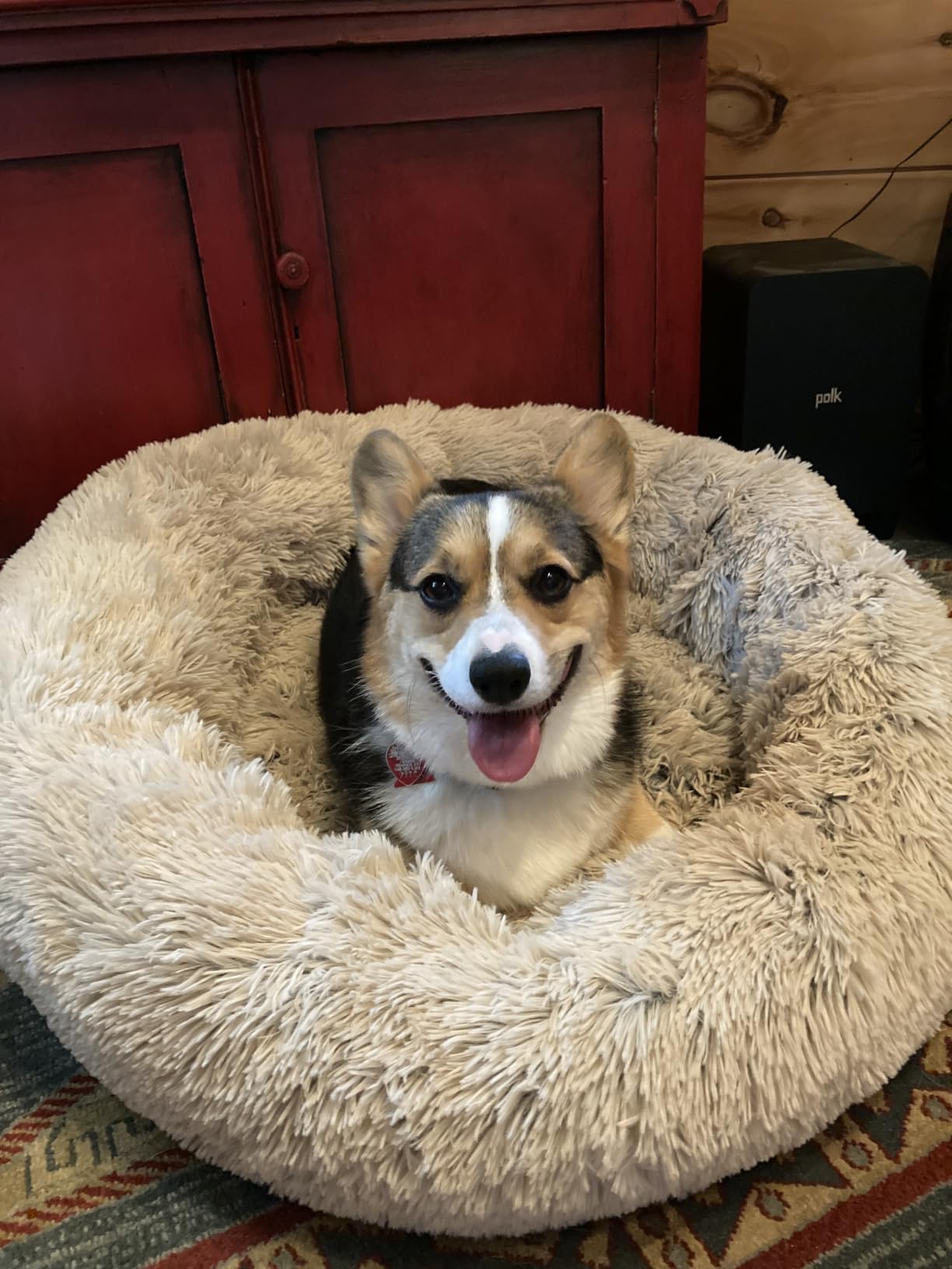 Best Friends by Sheri Original Calming Donut Dog Bed, Taupe, Medium, 30