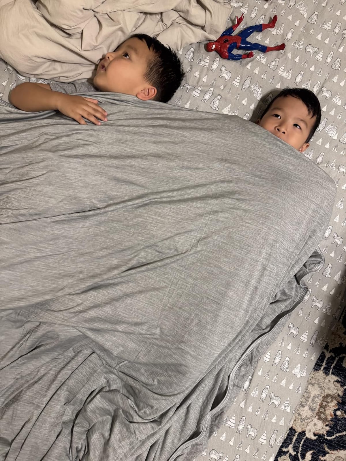 Elegear Arc-Chill 3.0 Cooling Blanket for Hot Sleepers, Twin Size, Grey customer photo 2