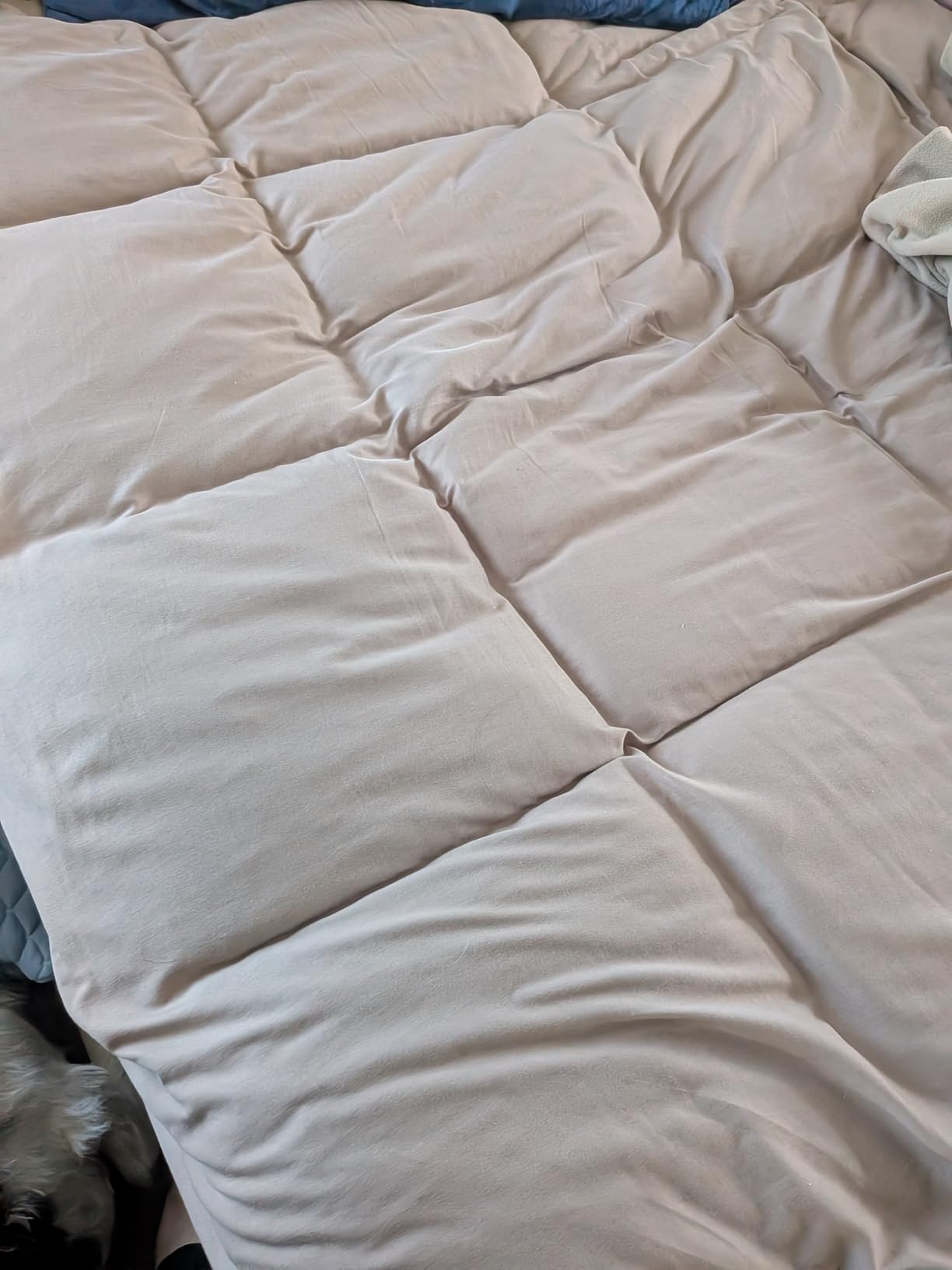 COONP Full Mattress Topper, Cotton Extra Thick Pillow Top Mattress Pad customer photo 1