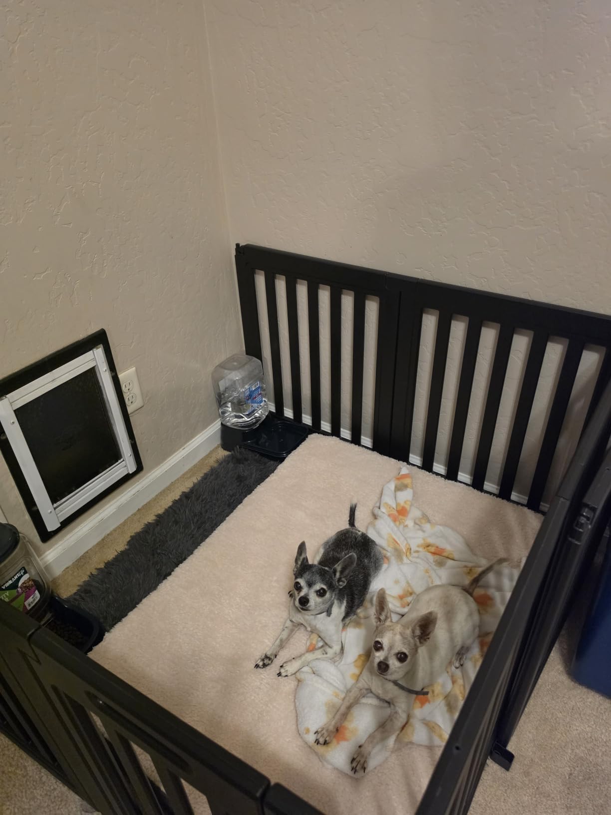 Bedsure XL Dog Bed, Extra Large Pet Bed with Comfy Sherpa,44x32in Grey customer photo 2