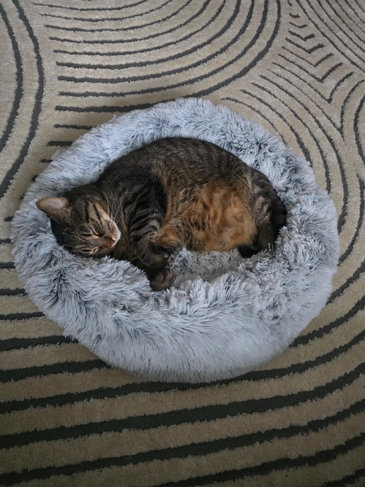 Love's cabin Calming Cat Bed for Indoor Cats, Anti-Anxiety Donut Round Dog Bed, Grey, 20in customer photo 1