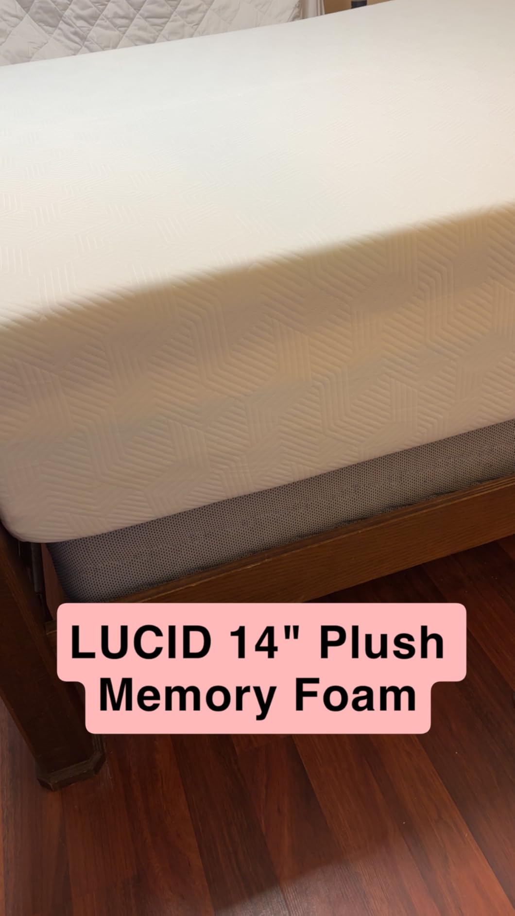 Lucid® 14