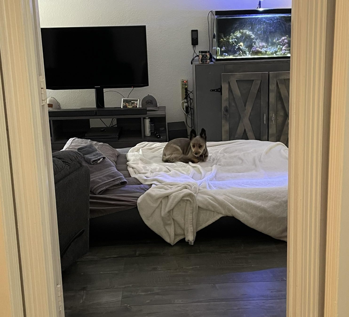 INTEX Dura-Beam Standard Pillow Rest Air Mattress: Fiber-Tech customer photo 1